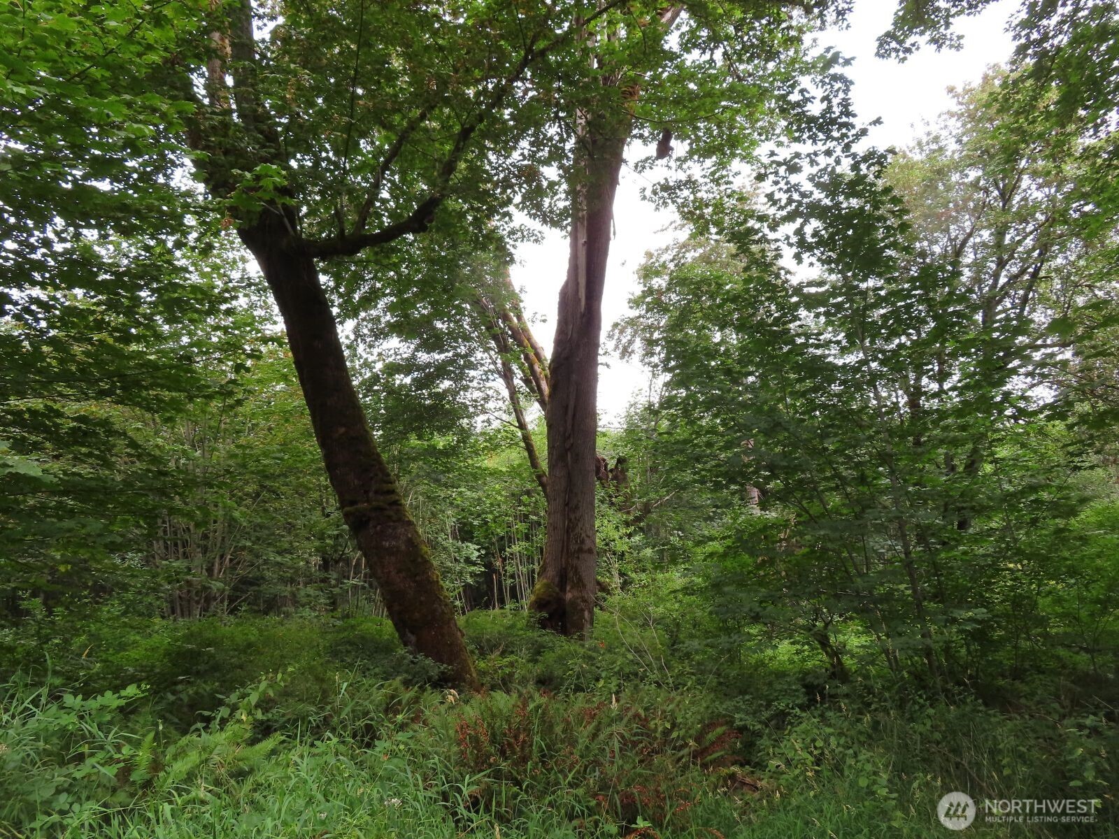 0 Xxx Del Ray Road Property Photo 9