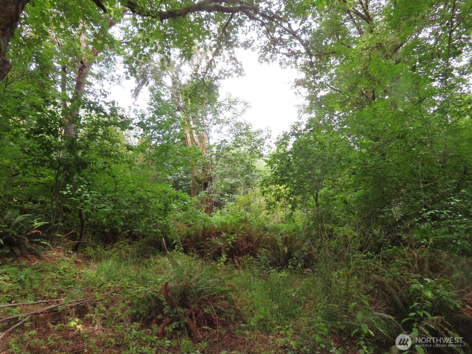 0 Xxx Del Ray Road Property Photo 10