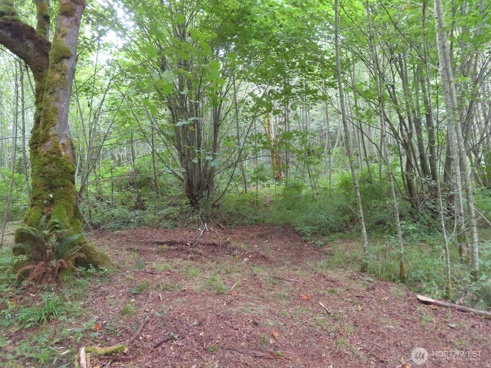 0 Xxx Del Ray Road Property Photo 11