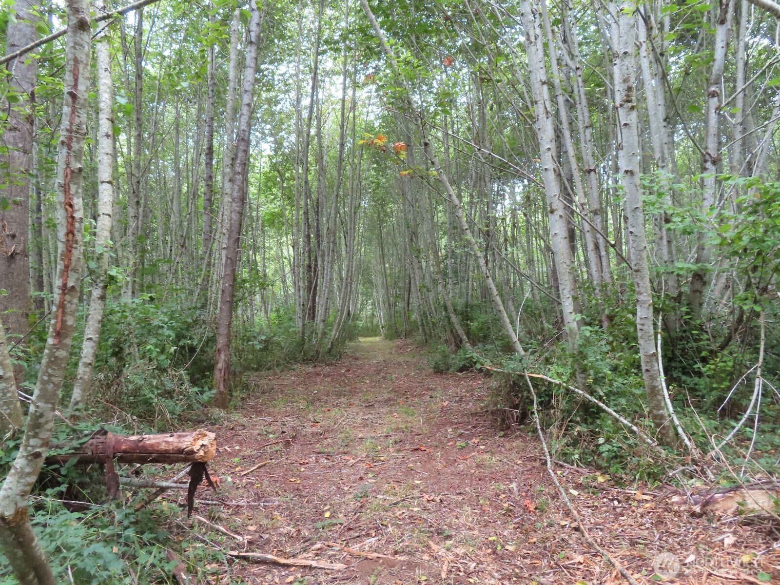 0 Xxx Del Ray Road Property Photo 12