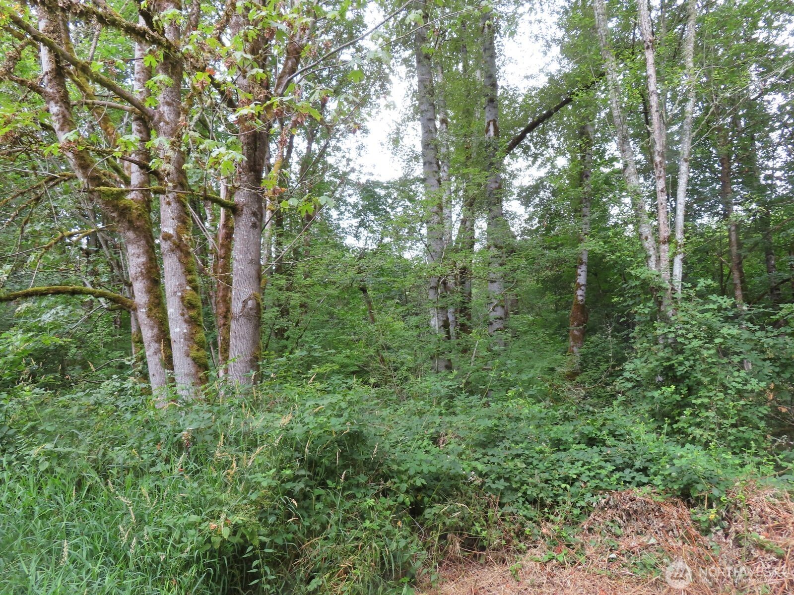 0 Xxx Del Ray Road Property Photo 13