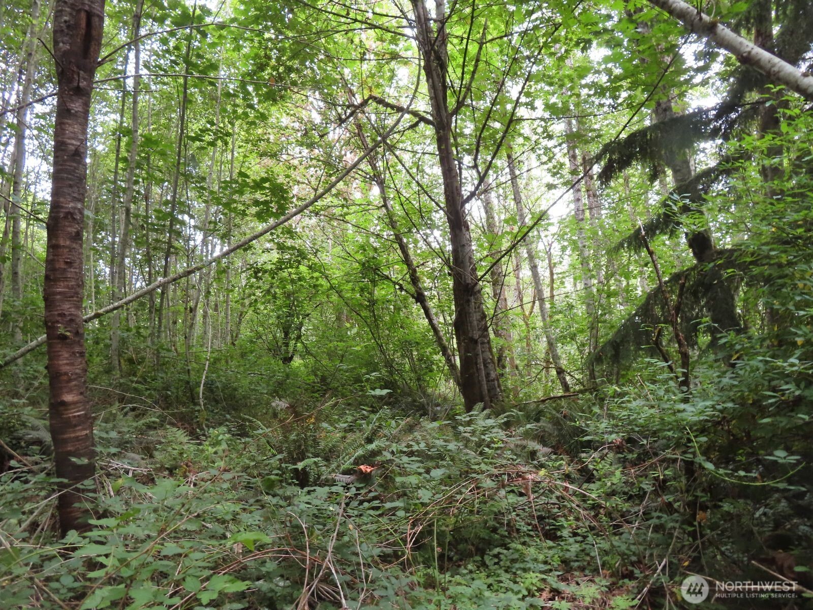 0 Xxx Del Ray Road Property Photo 14