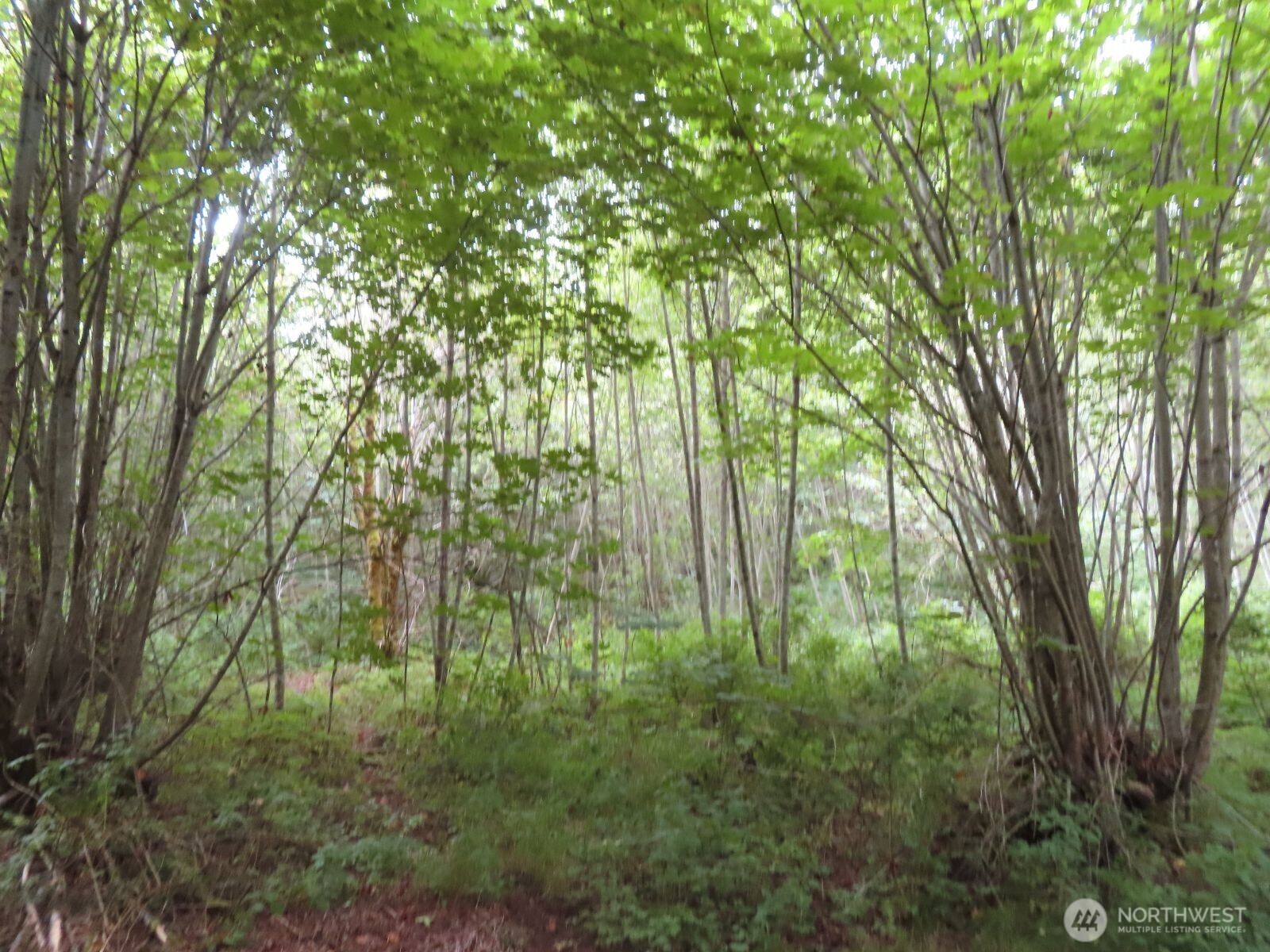 0 Xxx Del Ray Road Property Photo 16