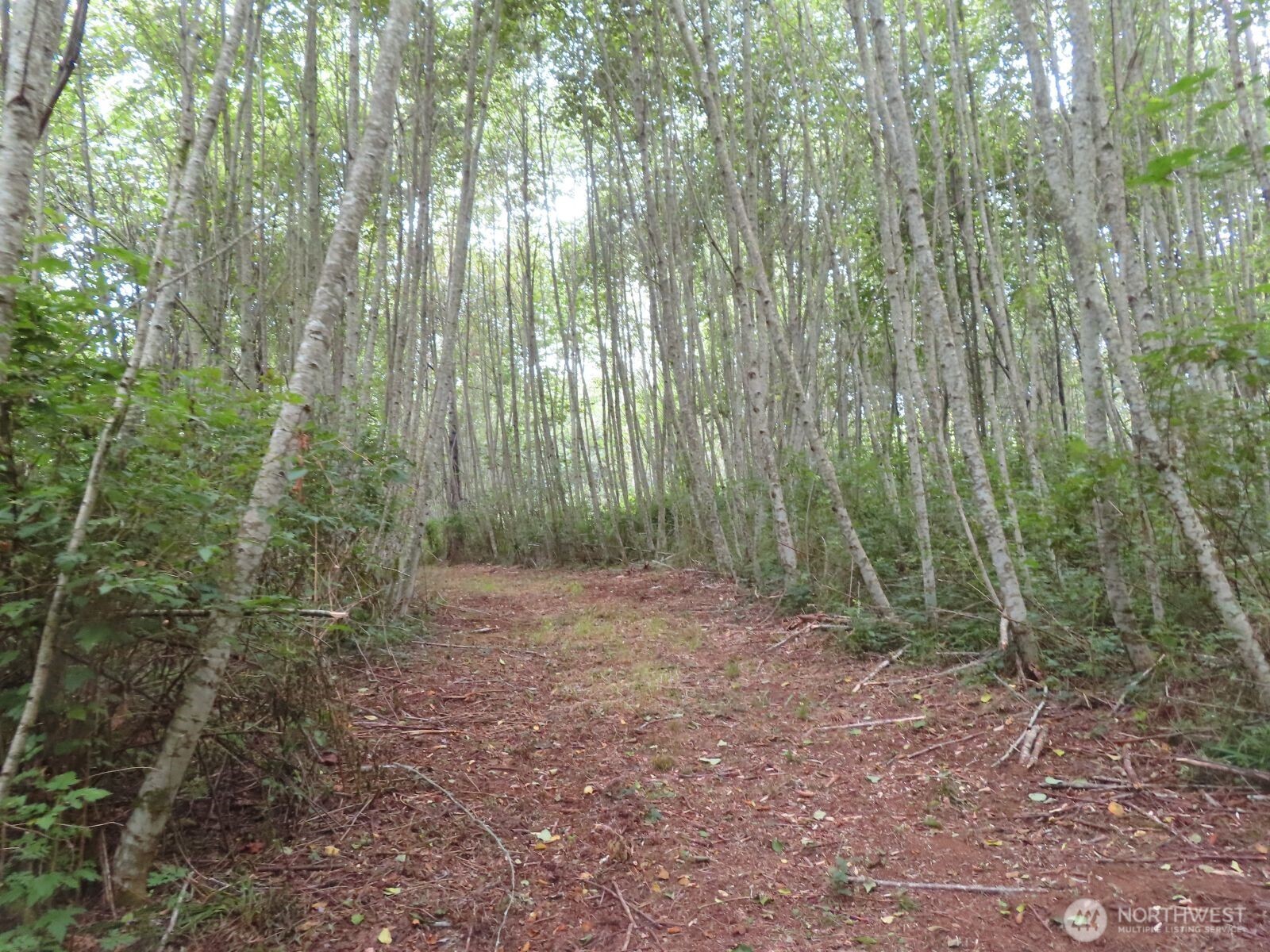 0 Xxx Del Ray Road Property Photo 18