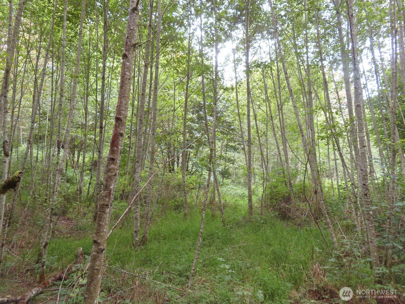0 Xxx Del Ray Road Property Photo 19