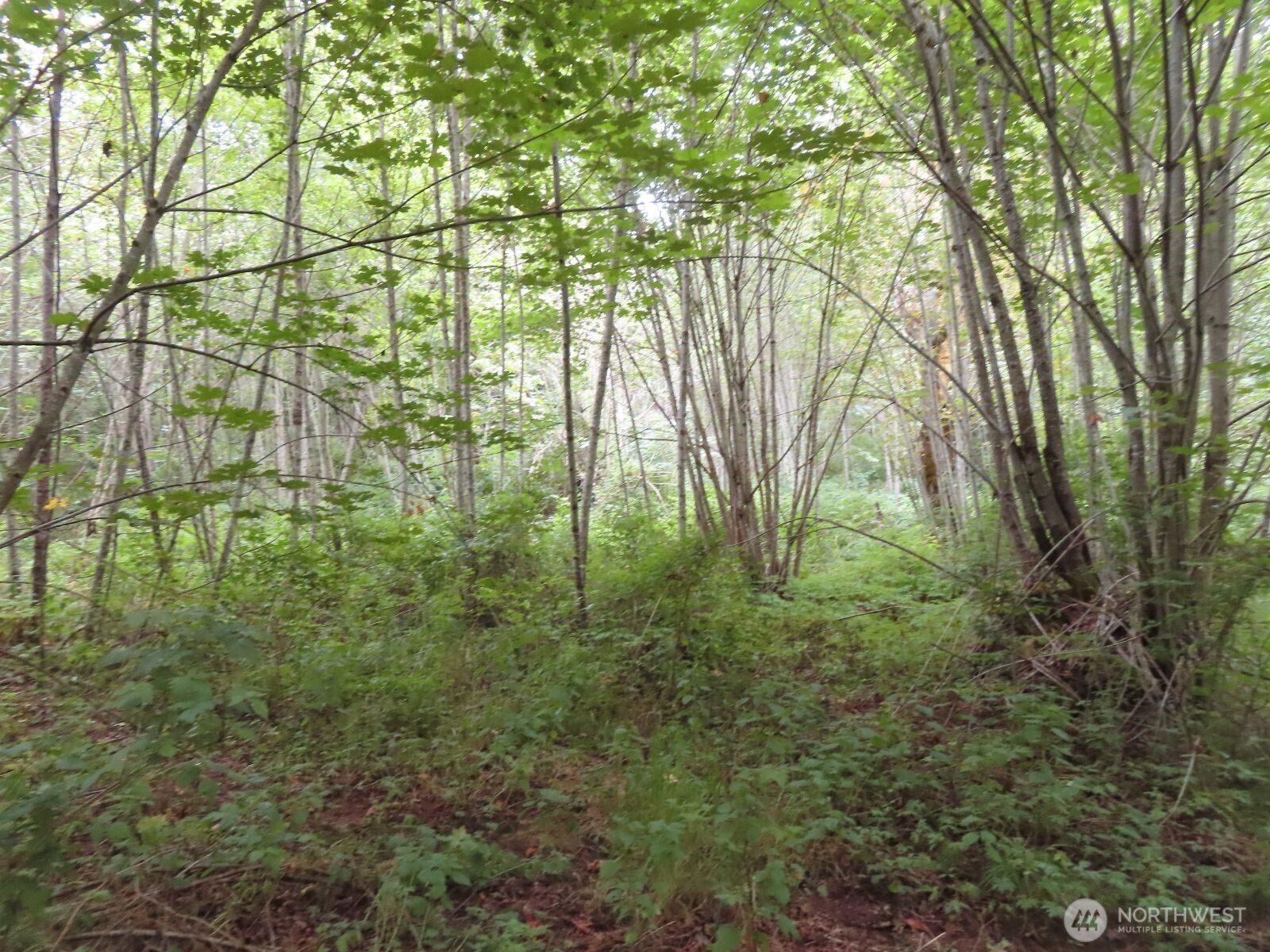 0 Xxx Del Ray Road Property Photo 20