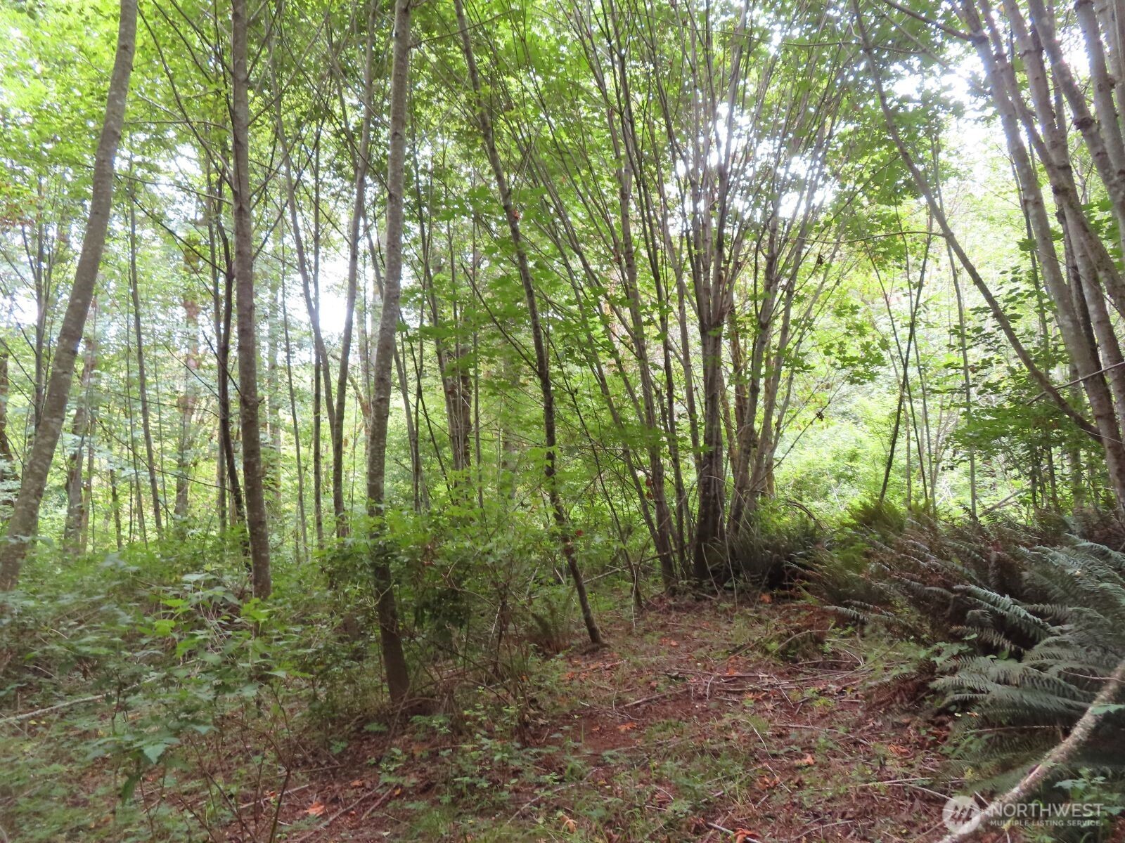 0 Xxx Del Ray Road Property Photo 21