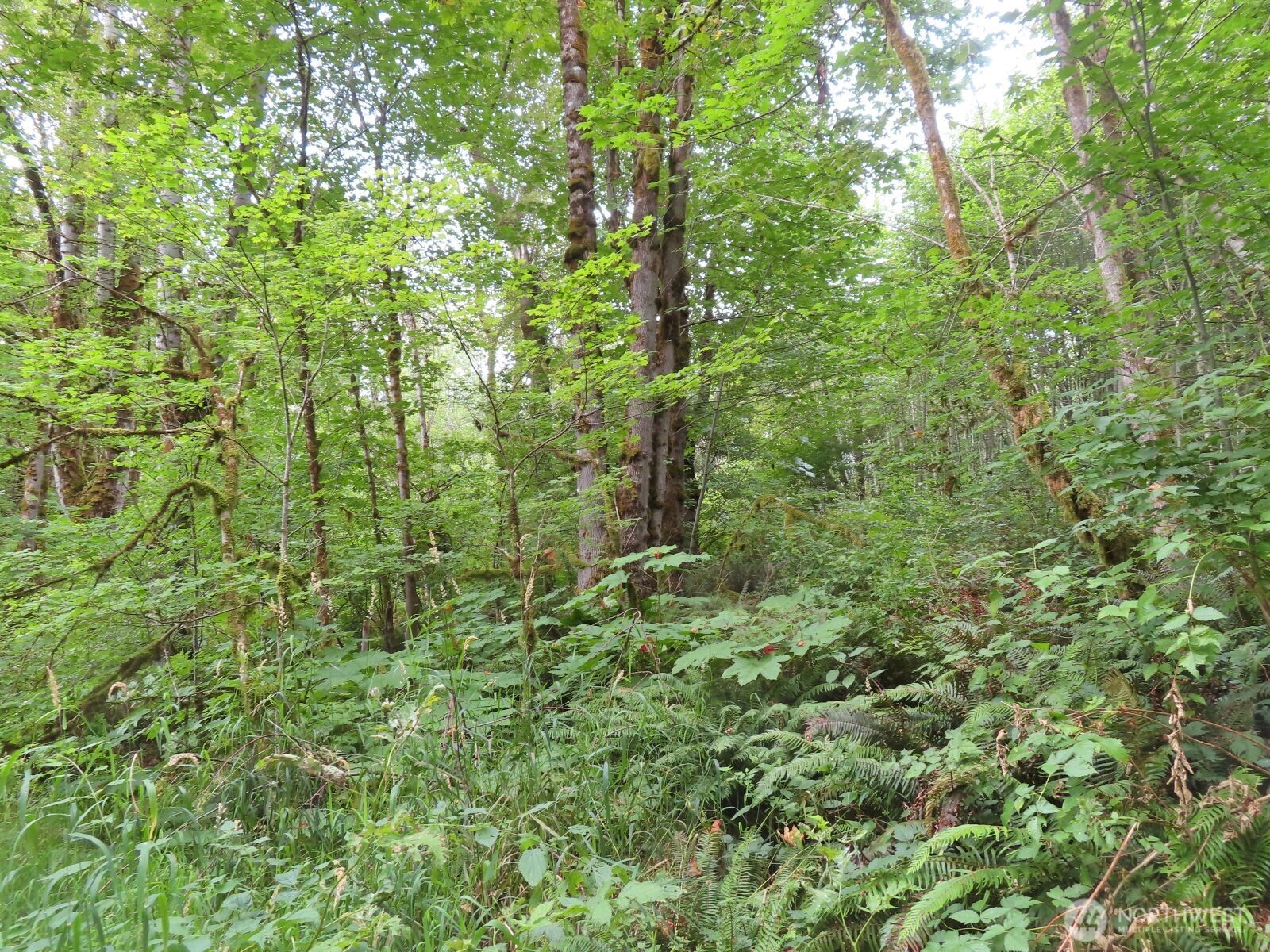 0 Xxx Del Ray Road Property Photo 23