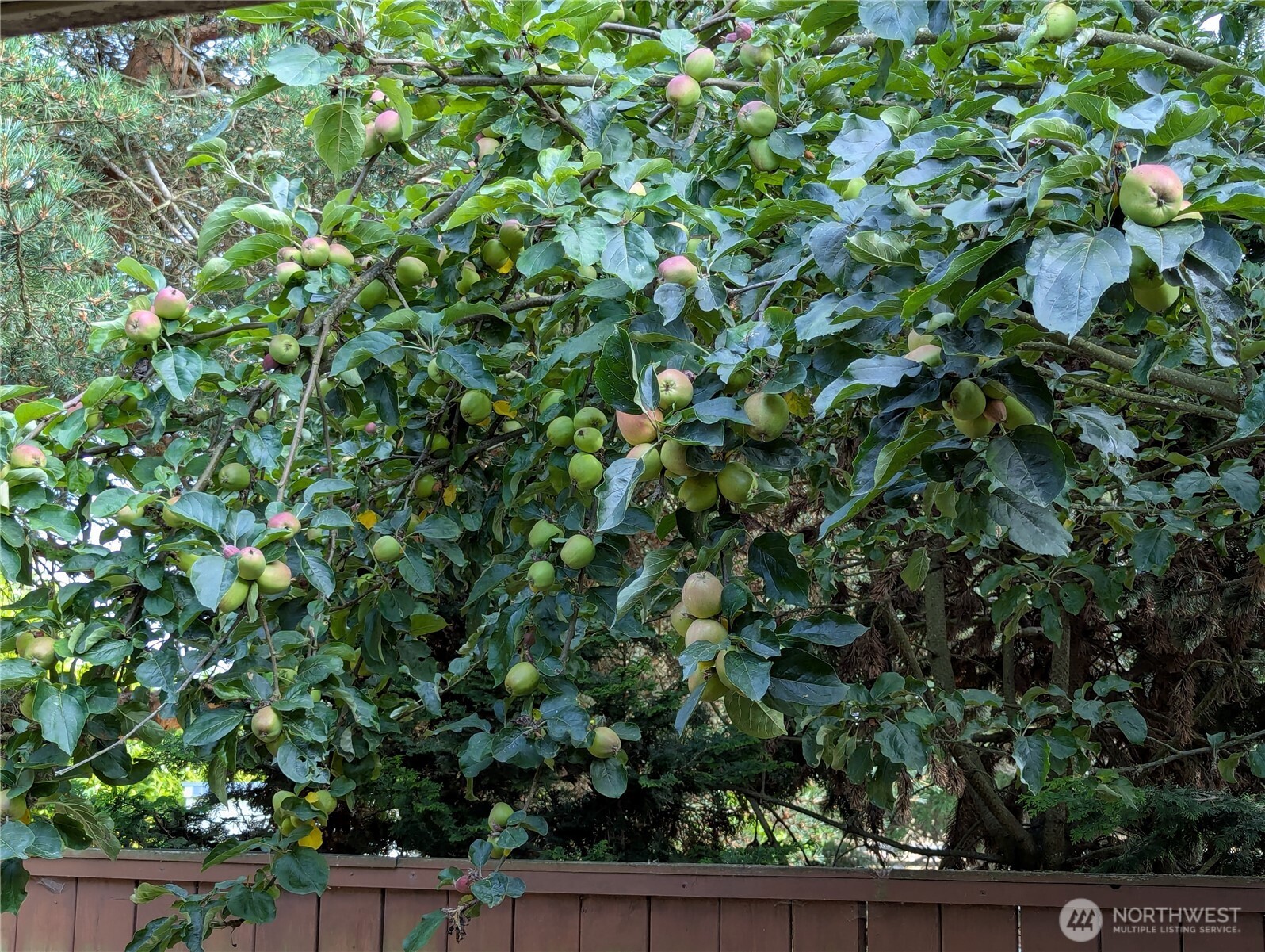 62 Morning Star Way Property Photo 29