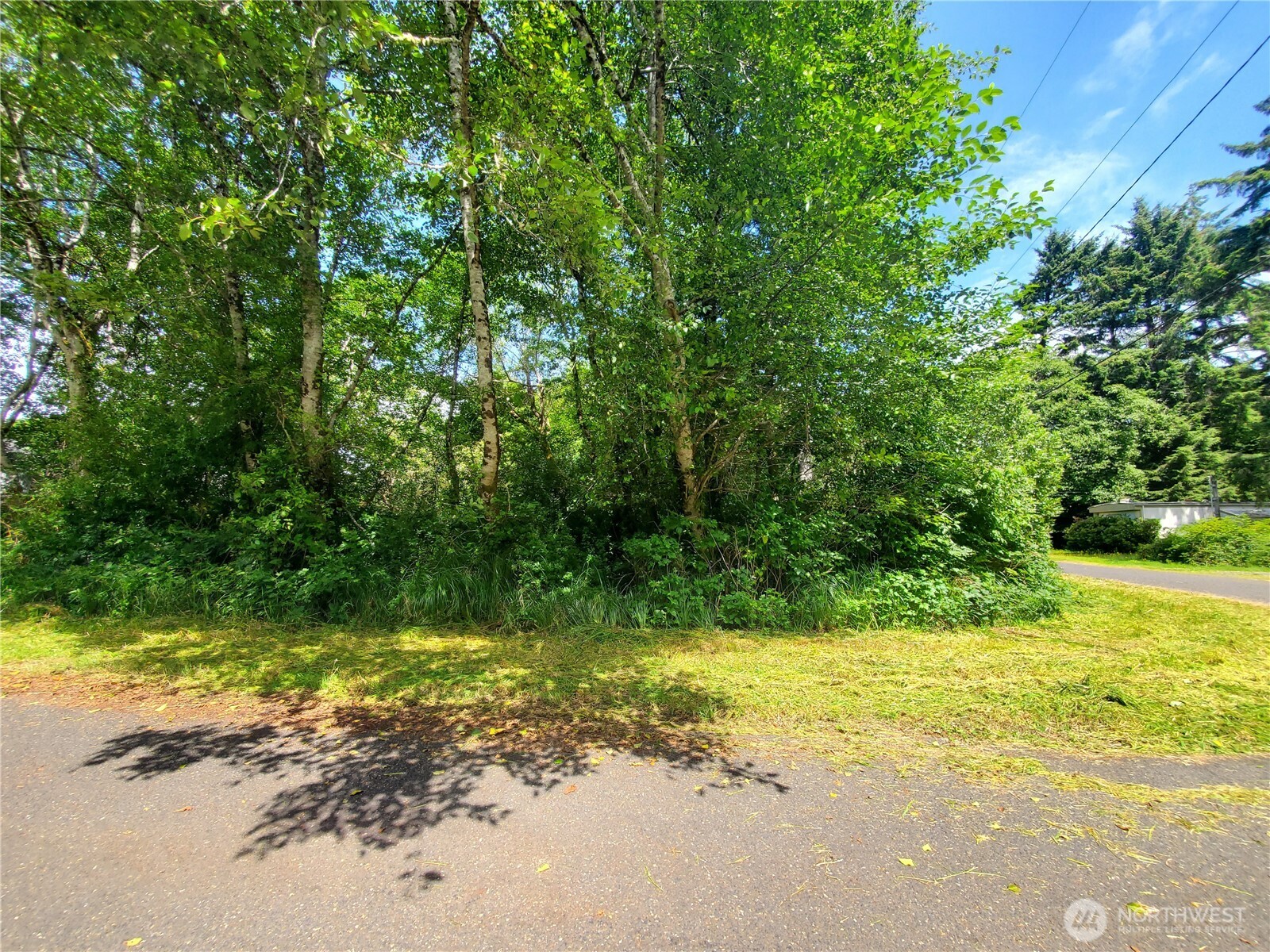 0 Woodland Lane Property Photo 3