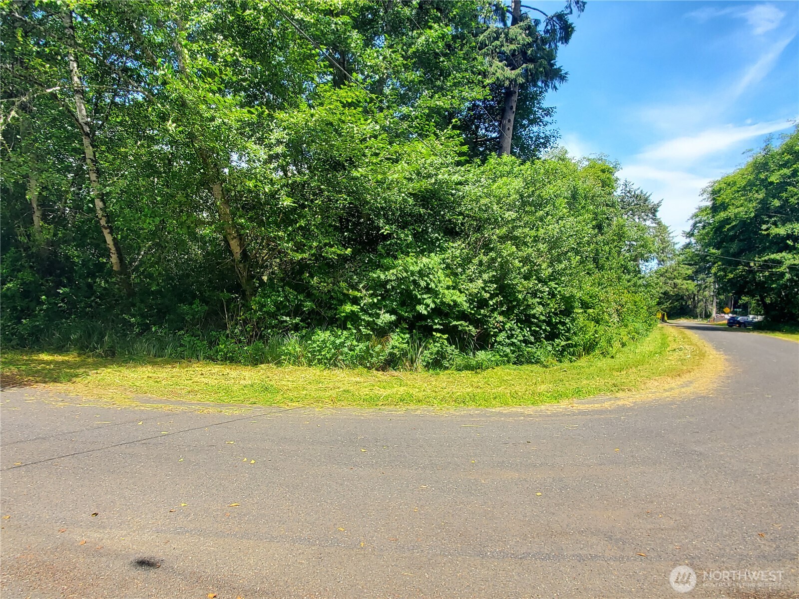 0 Woodland Lane Property Photo 4