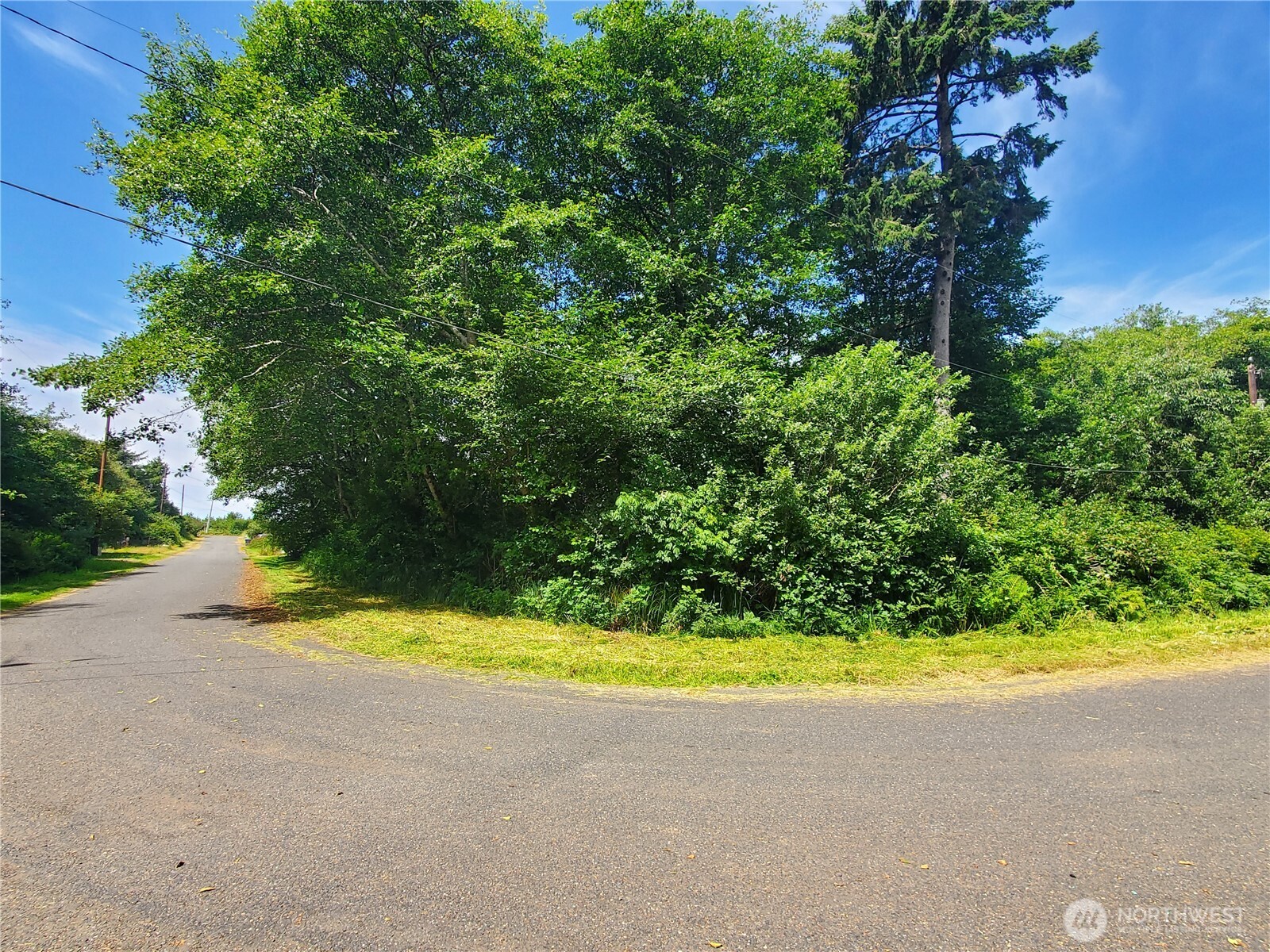 0 Woodland Lane Property Photo 6