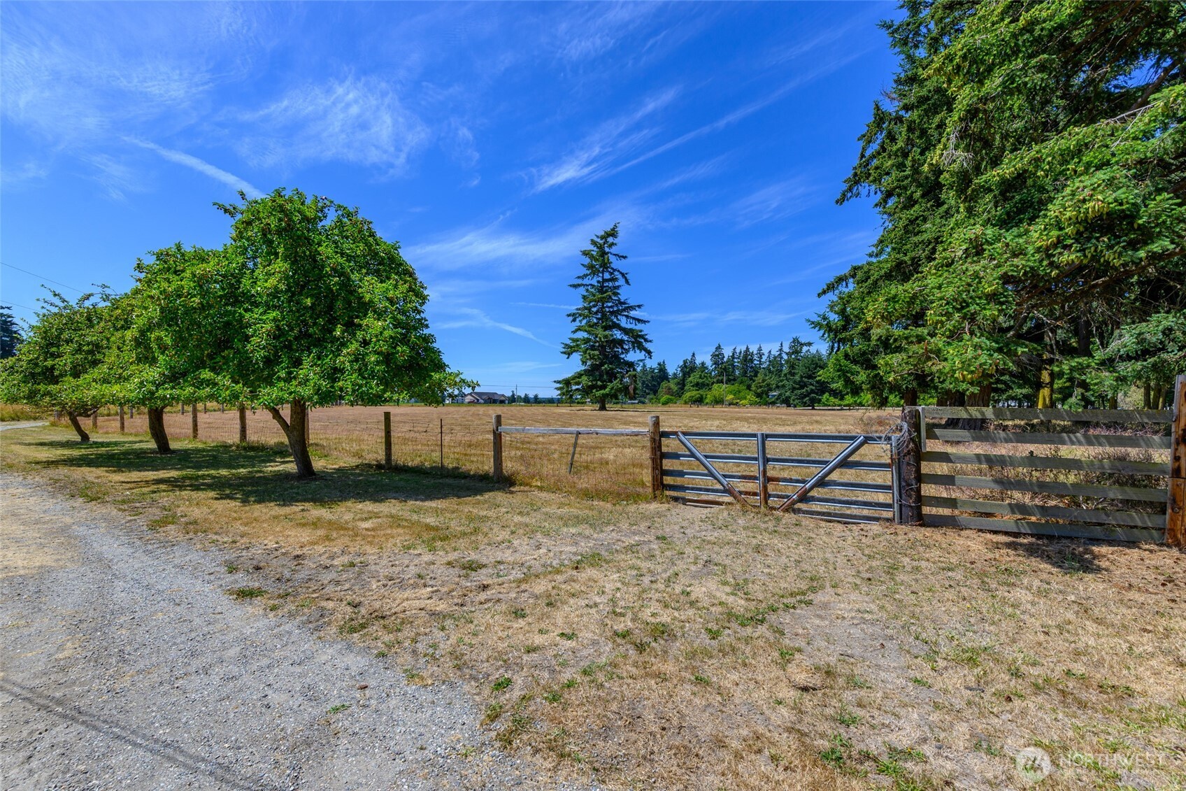 347 Jacobs Road Property Photo 9