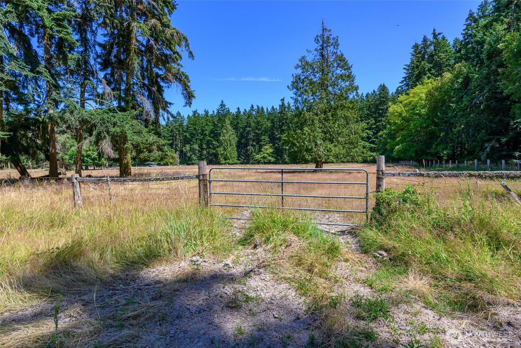 347 Jacobs Road Property Photo 36