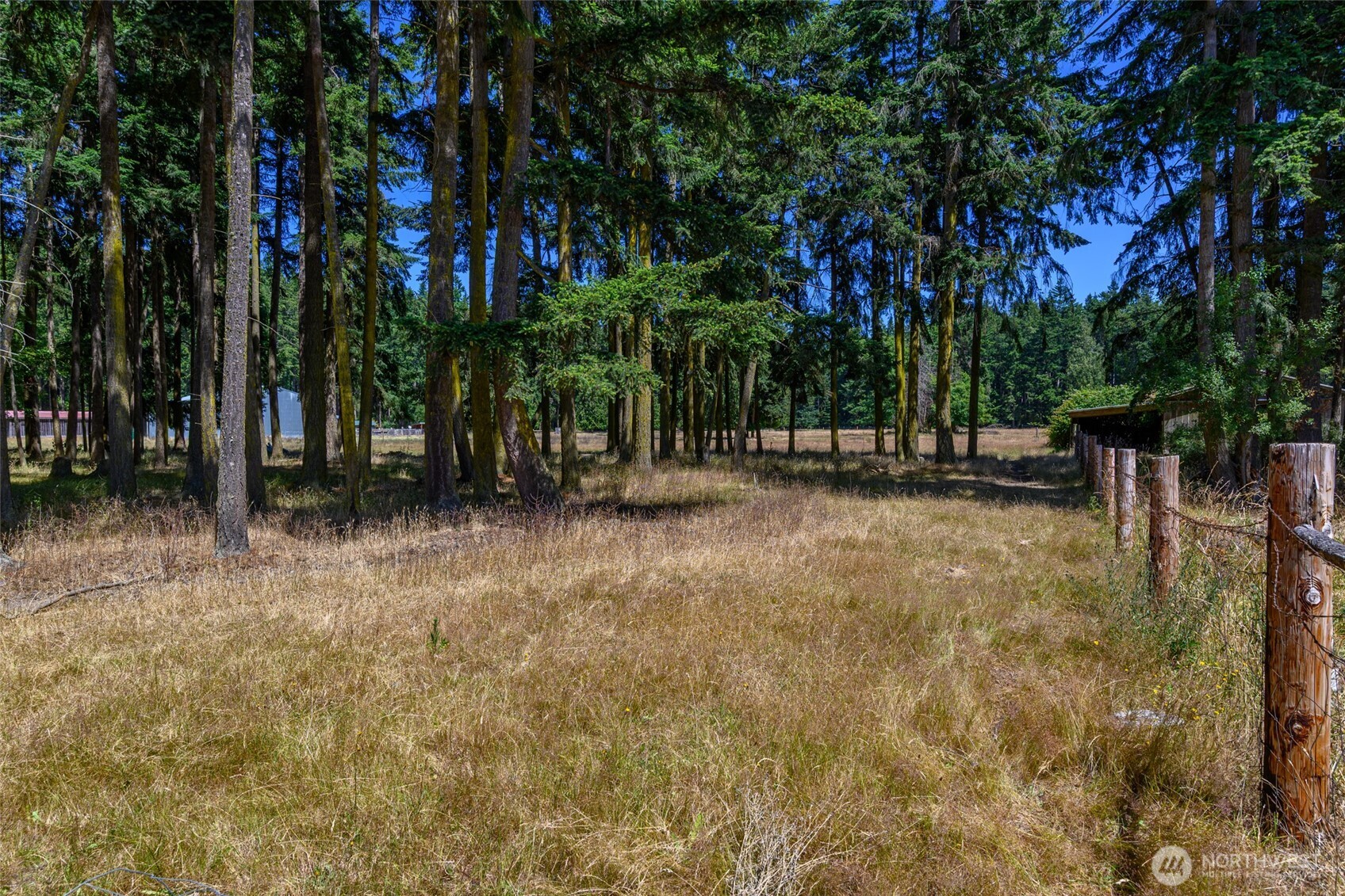 347 Jacobs Road Property Photo 38