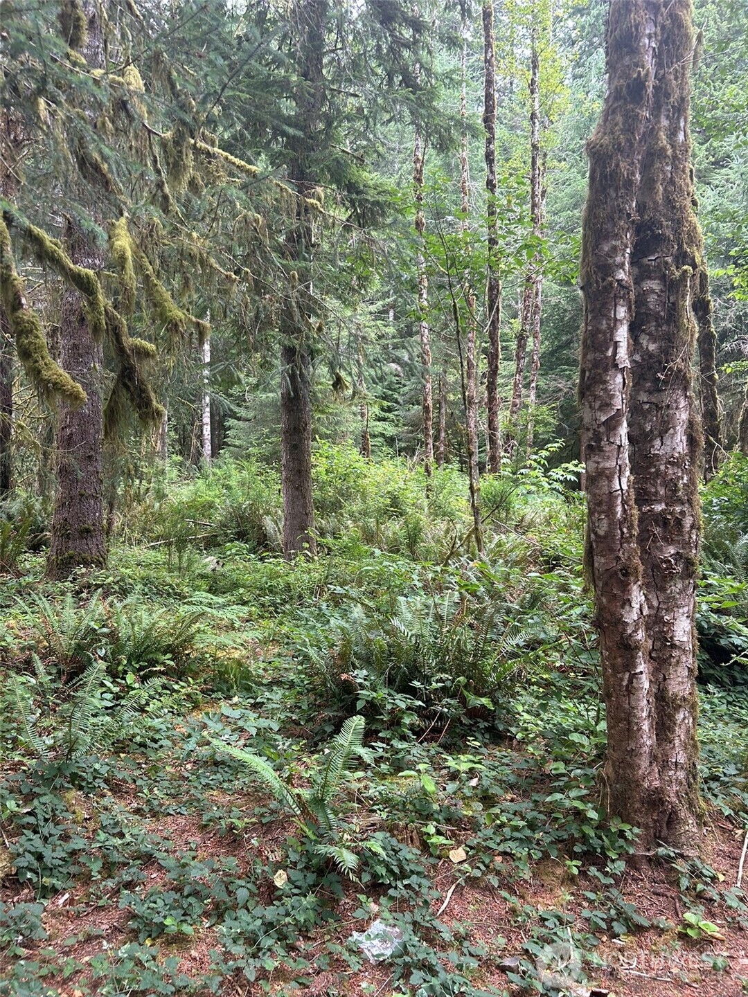 99 Highway 101 Property Photo 1