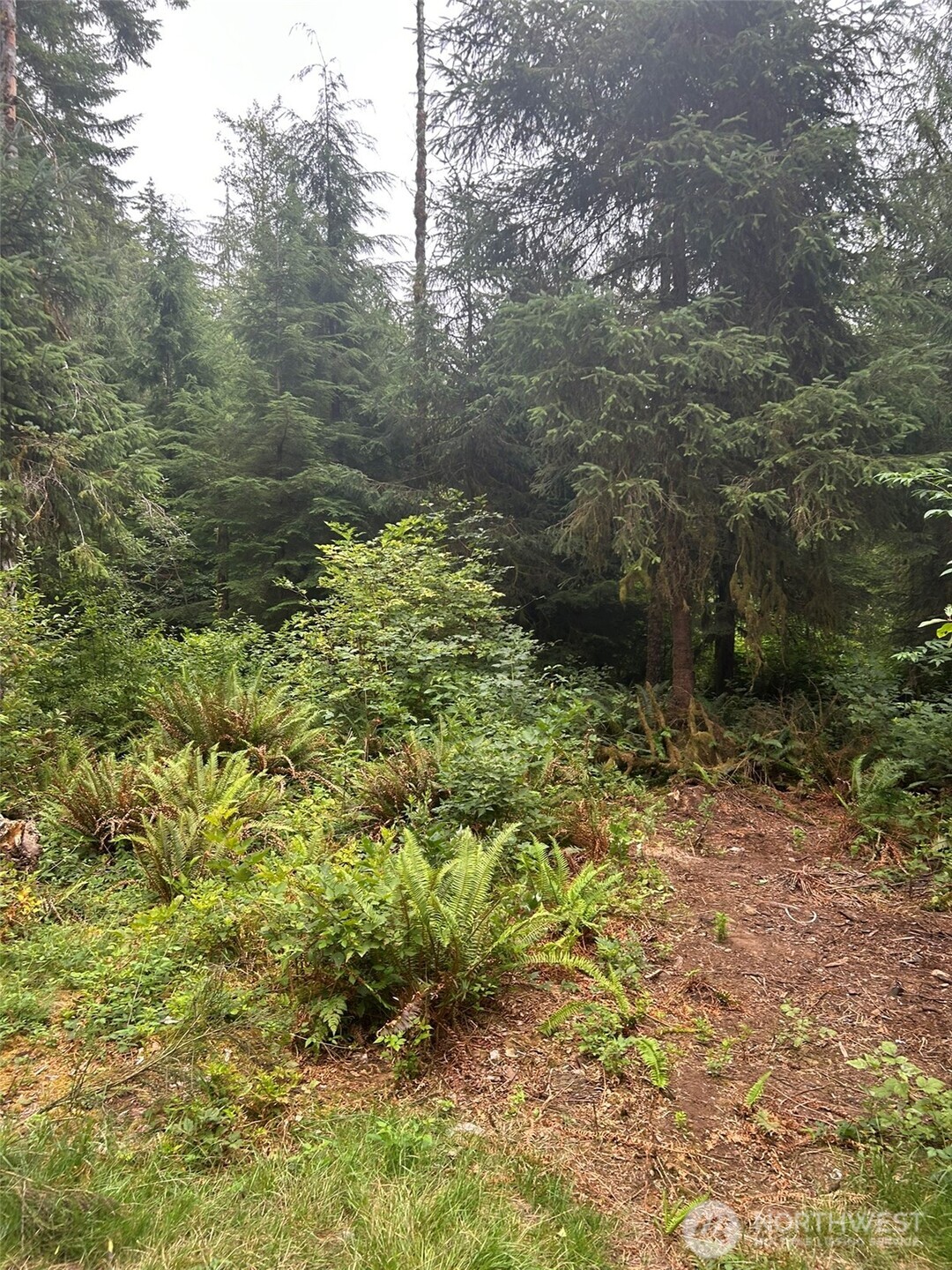 99 Highway 101 Property Photo 2