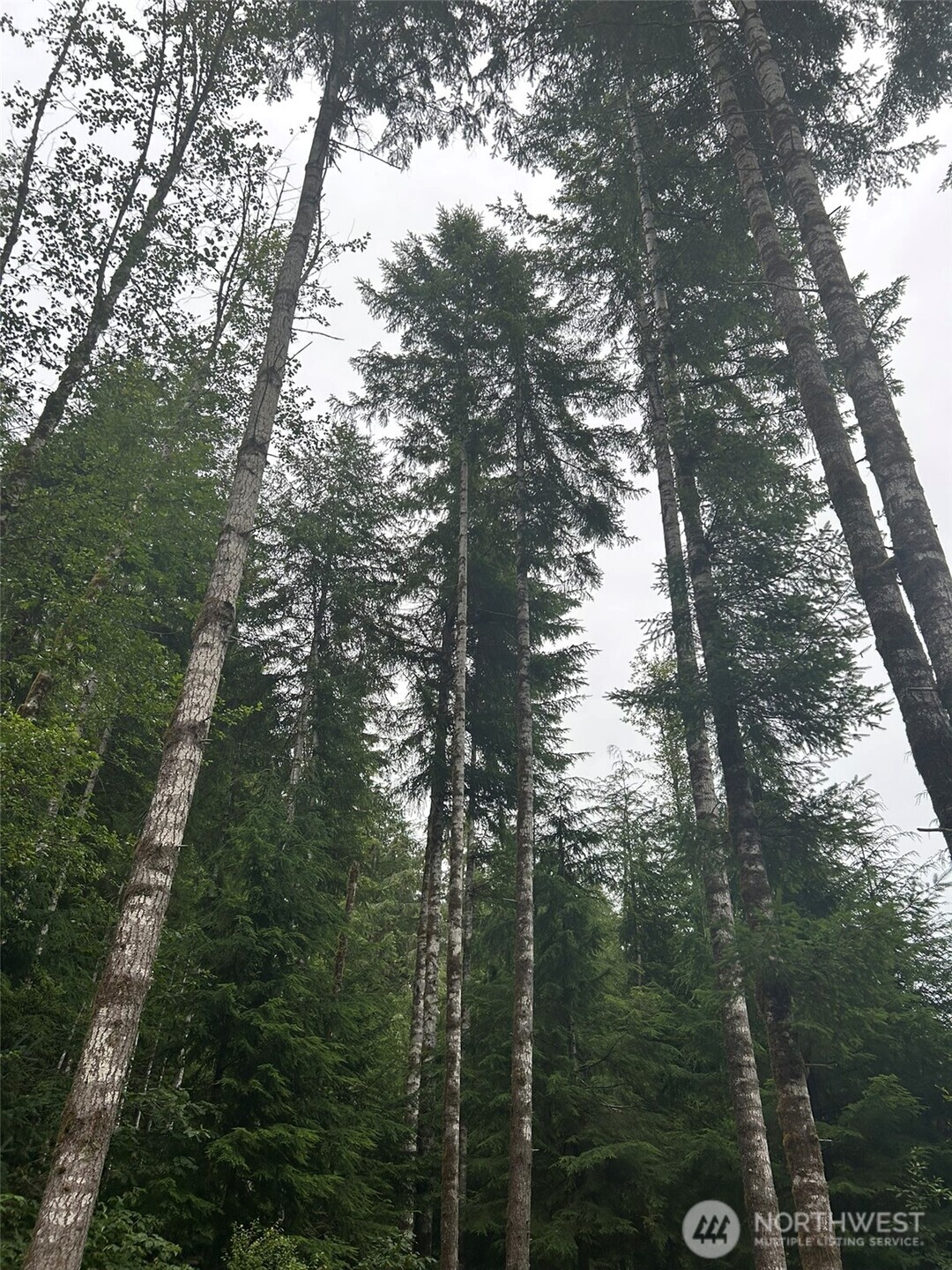 99 Highway 101 Property Photo 3