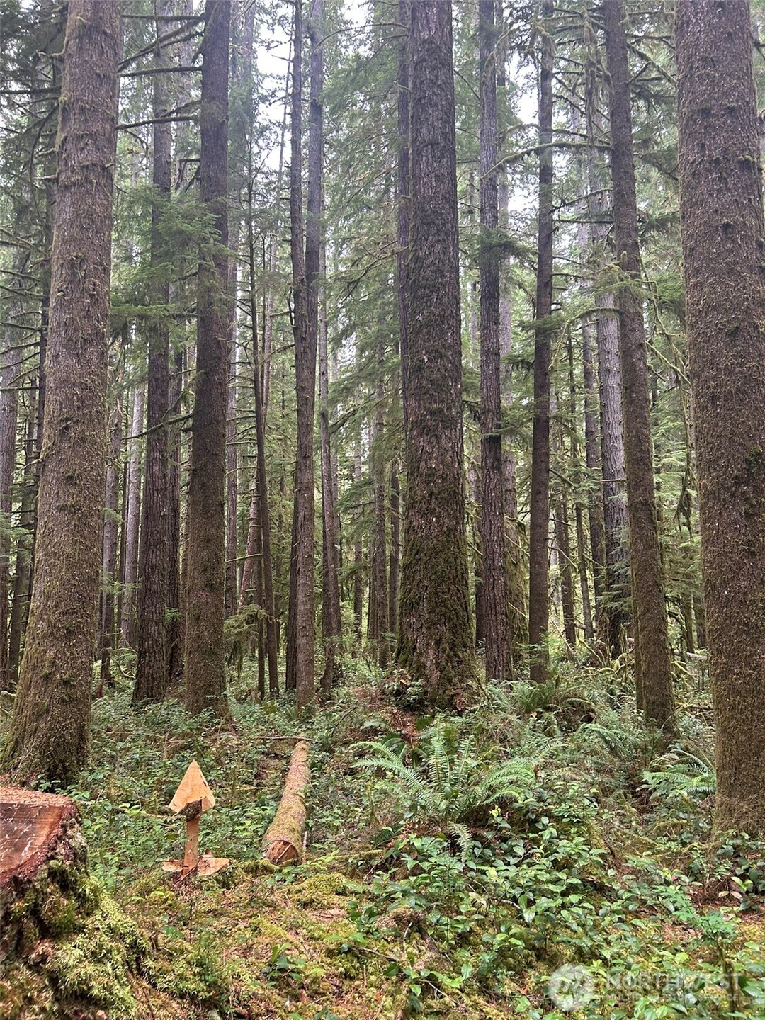 99 Highway 101 Property Photo 4