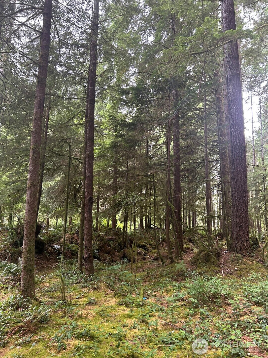 99 Highway 101 Property Photo 5