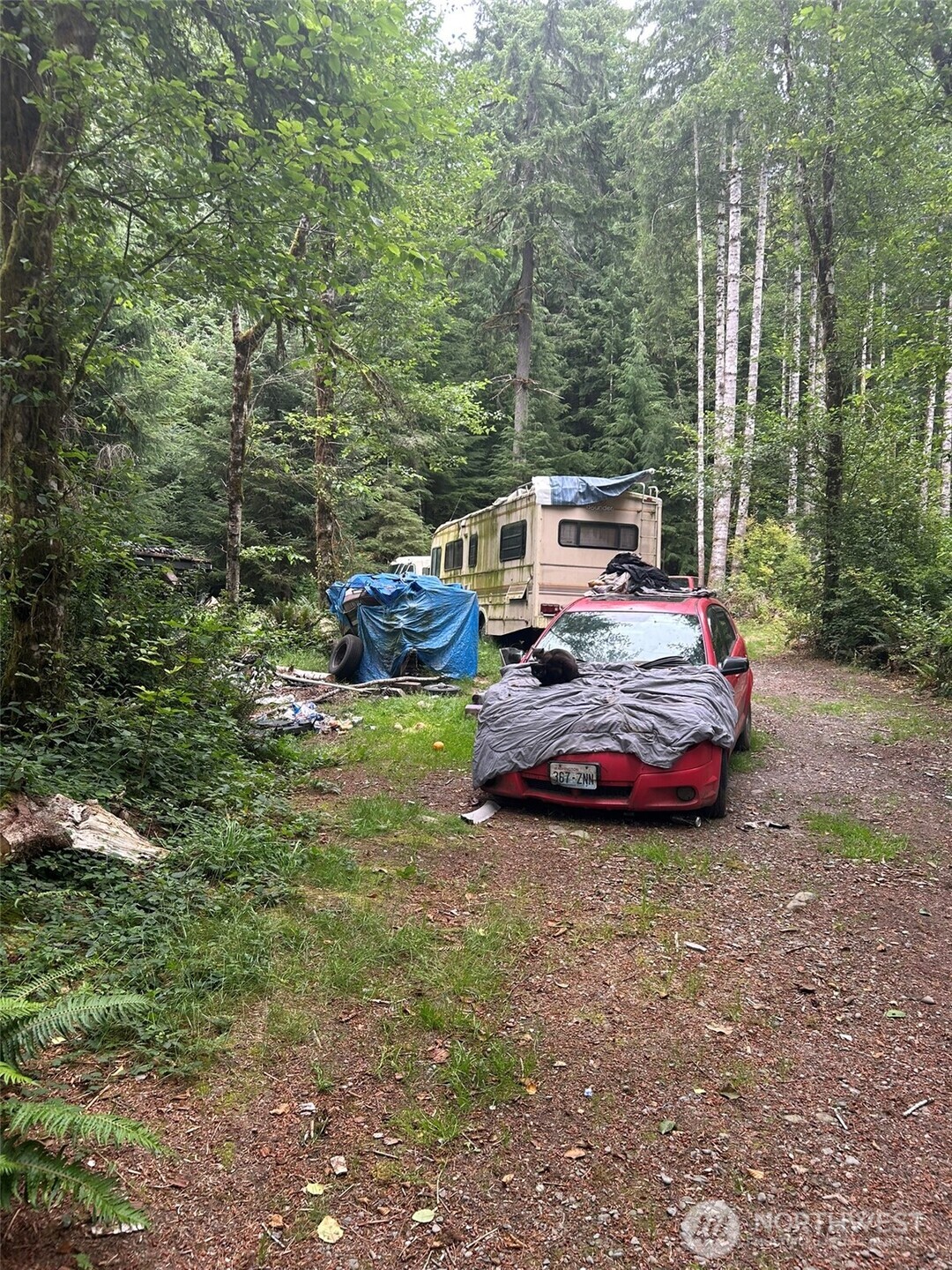 99 Highway 101 Property Photo 6