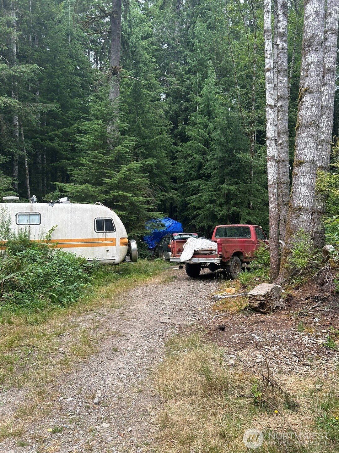 99 Highway 101 Property Photo 7