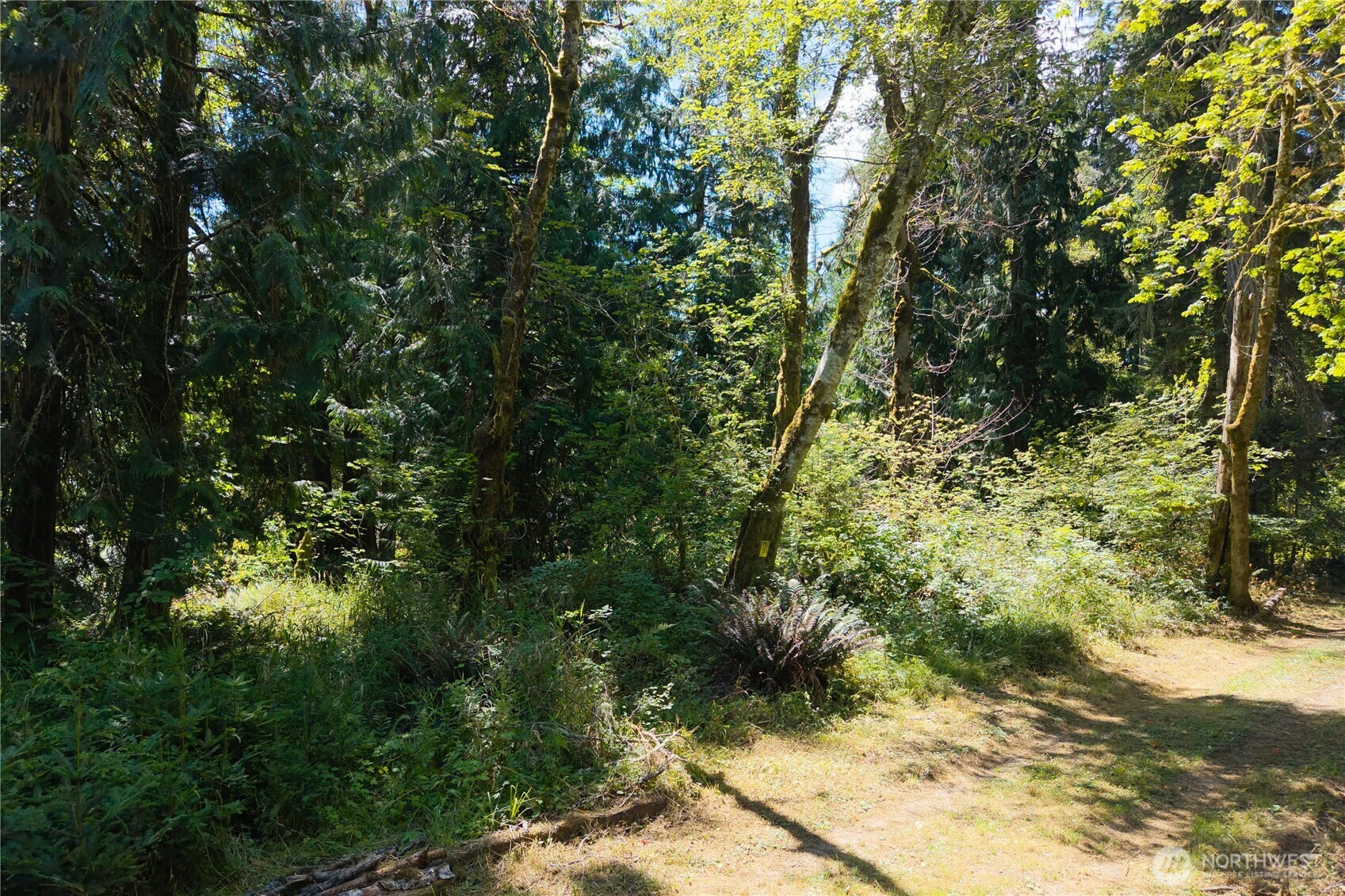14333 Beaver Drive Property Photo 9