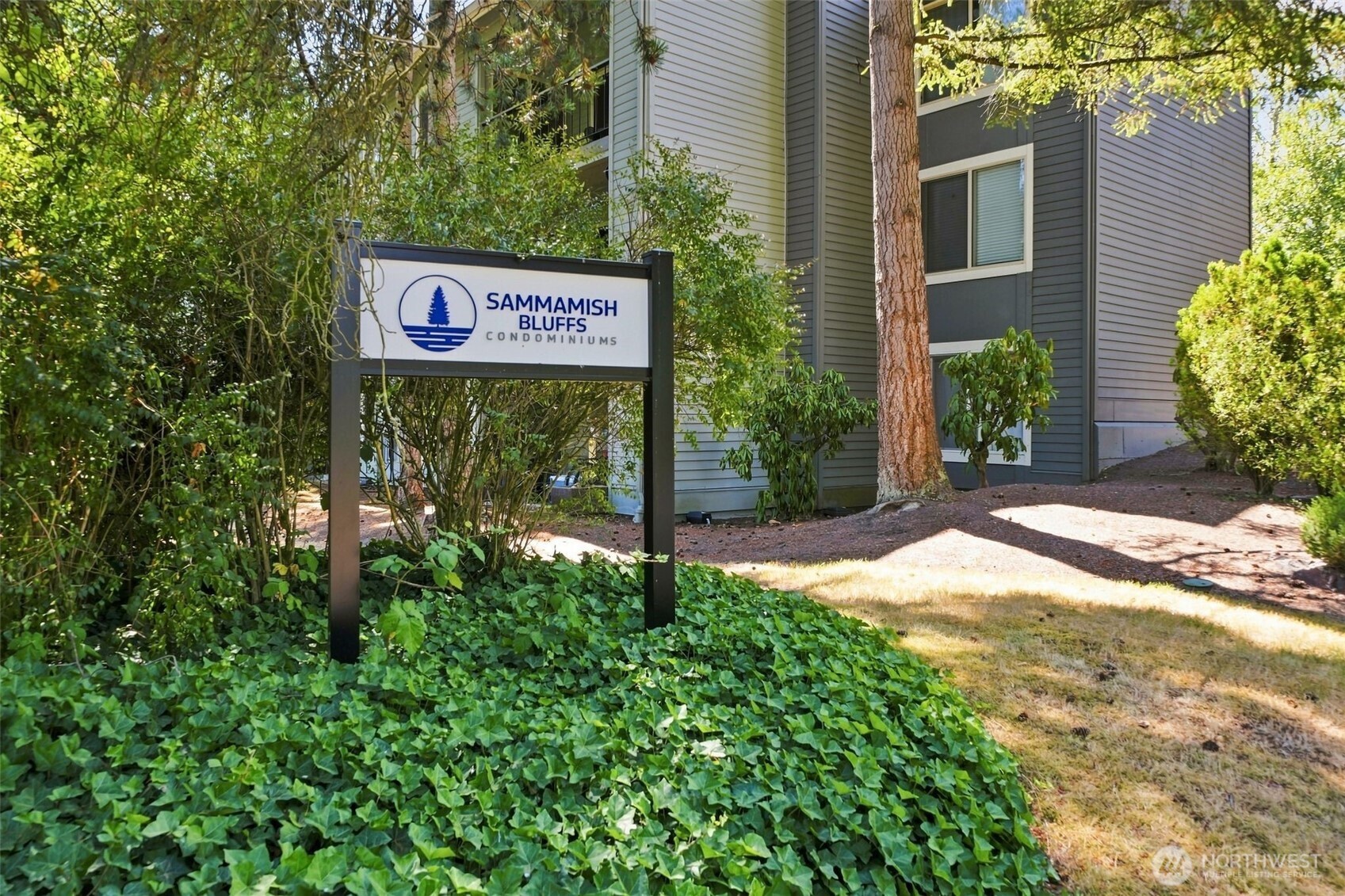 4641 W Lake Sammamish Parkway F305 Property Photo 38