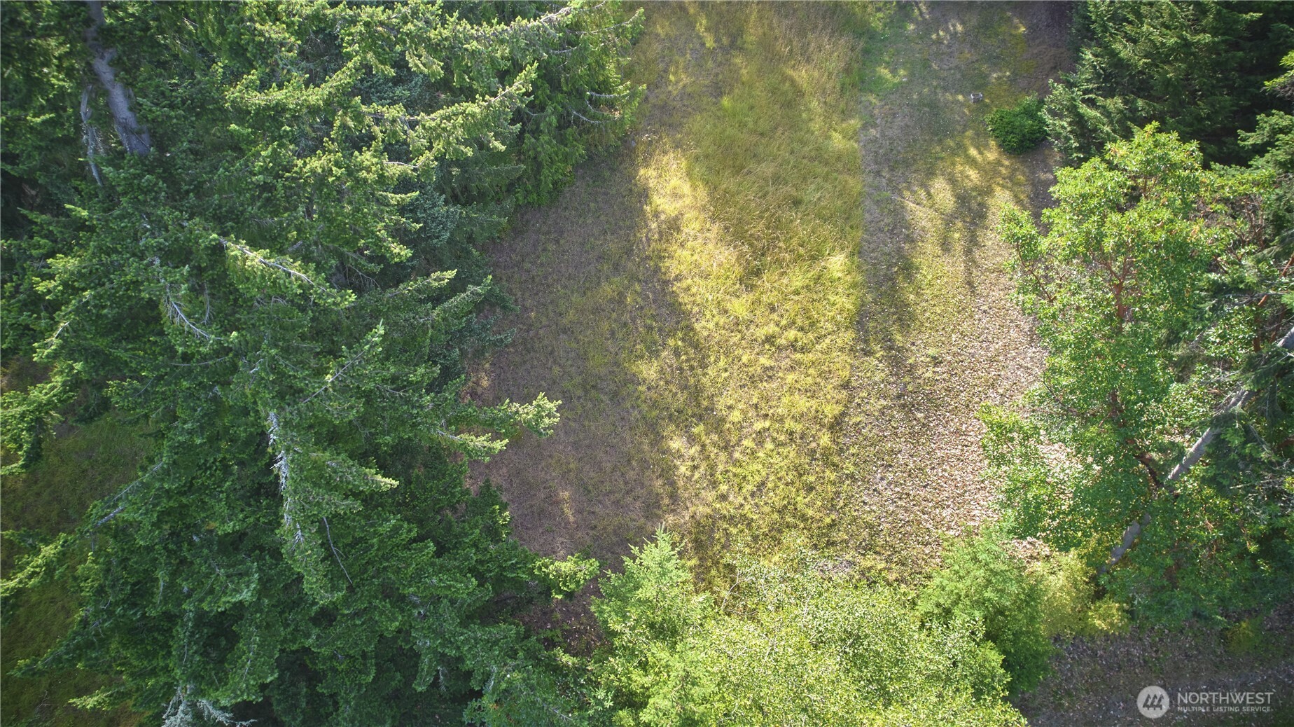 913 Fox Hollow Drive Property Photo 1