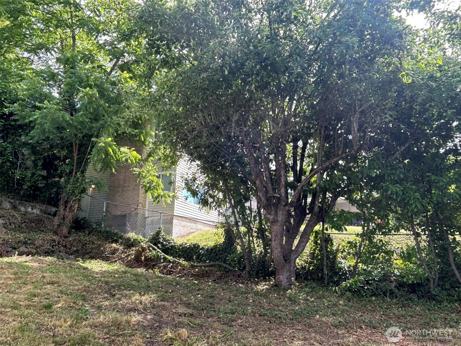 6538 51st Avenue Property Photo 8