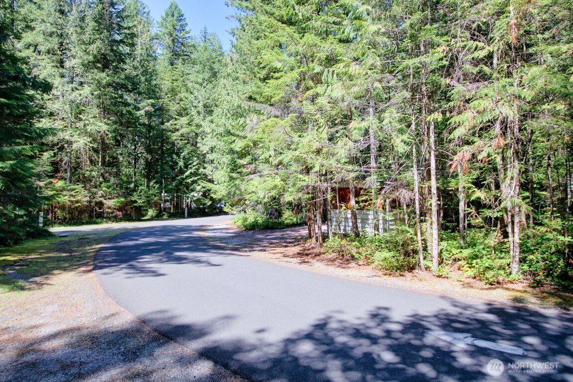 299 6 Schinn Canyon Drive Property Photo 36