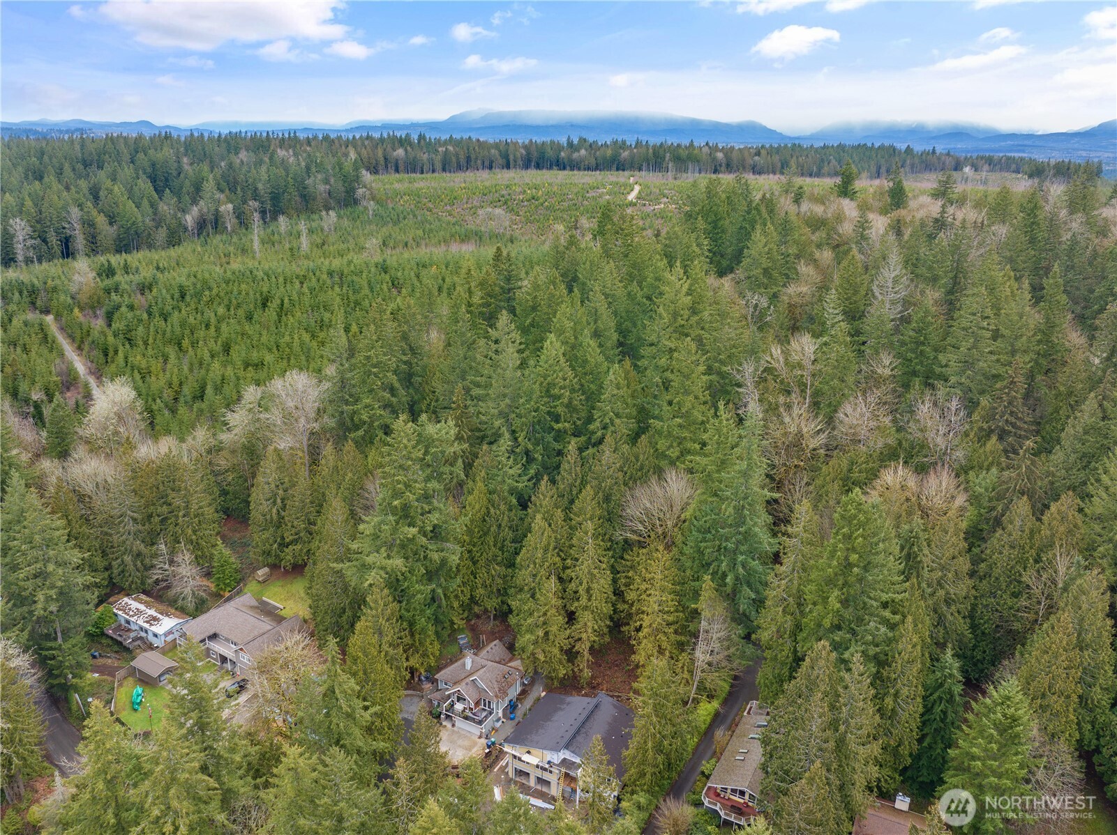 3866 E Ames Lake Drive Property Photo 17