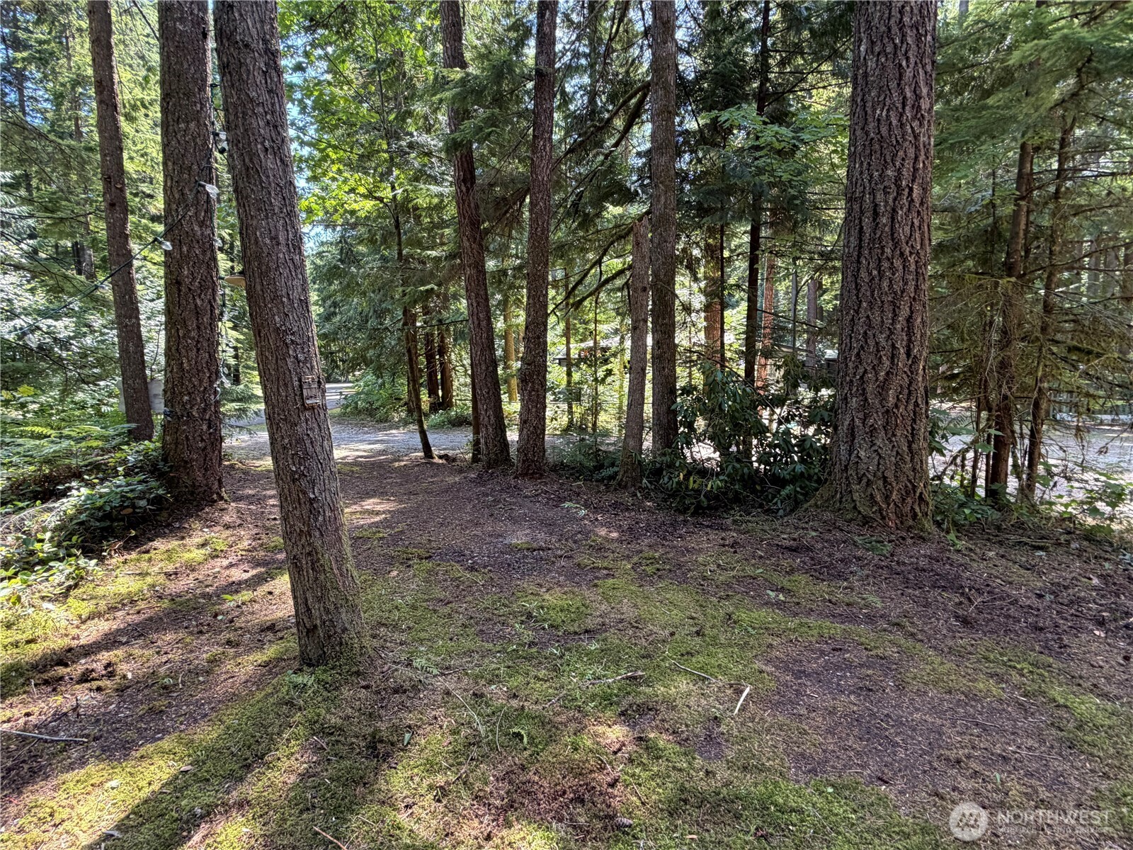 1167 Alder Lane Property Photo 17