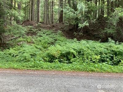 87426 NE Old Cascade Highway Property Photo 1