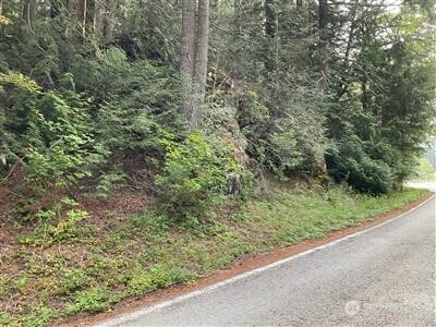 87426 Ne Old Cascade Highway Property Photo 2