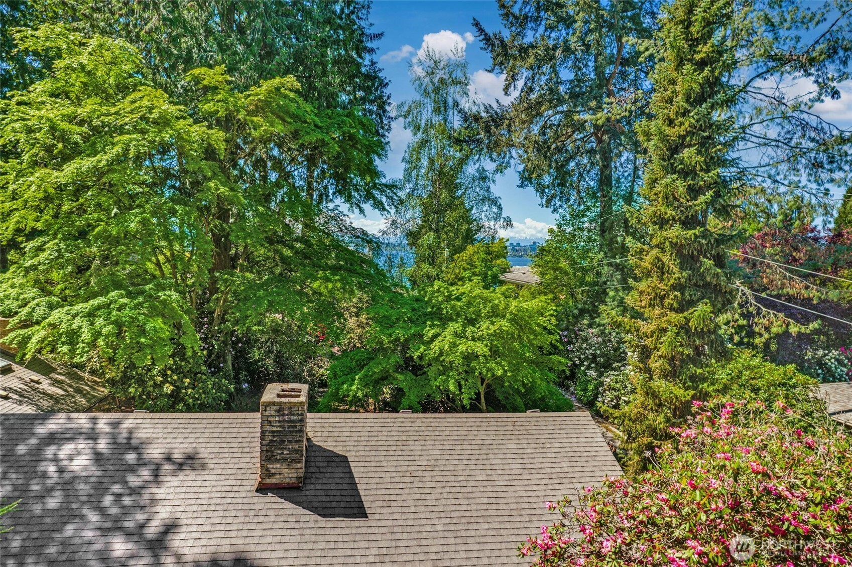 3419 Evergreen Point Road Property Photo 35