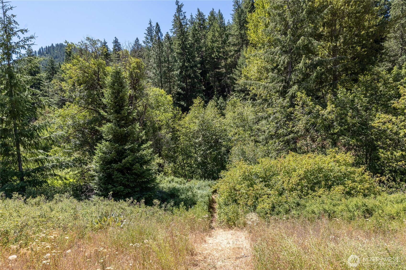 10365 Merry Canyon Road Property Photo 27