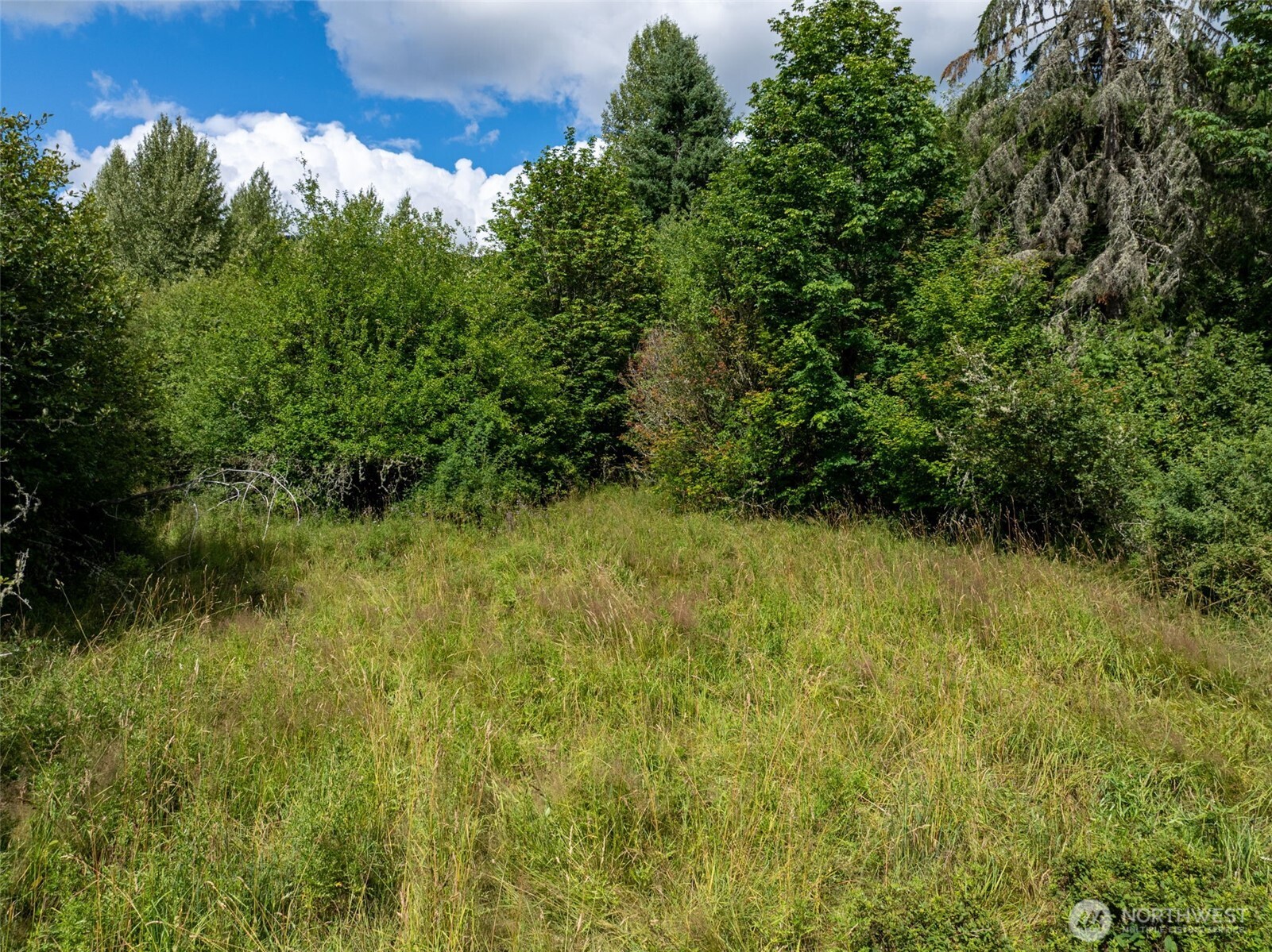 28909 State Route 706 Property Photo 2