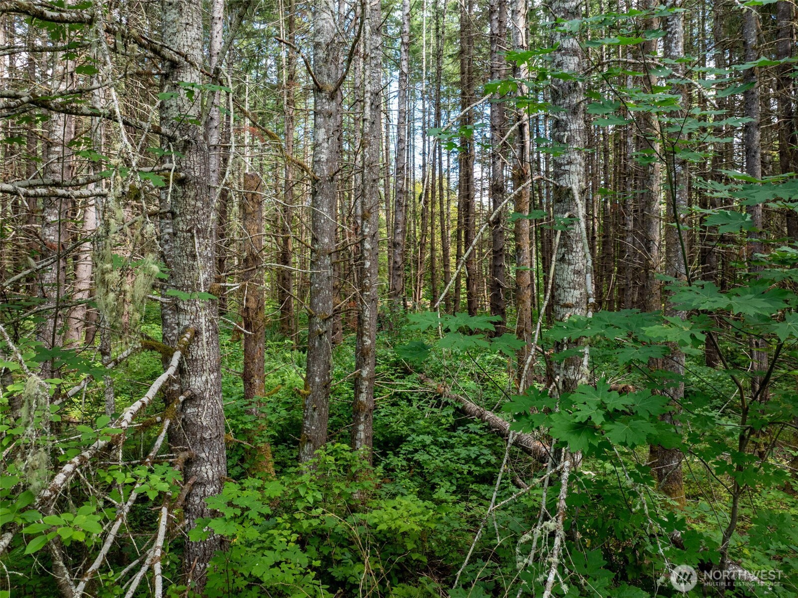 28909 State Route 706 Property Photo 3