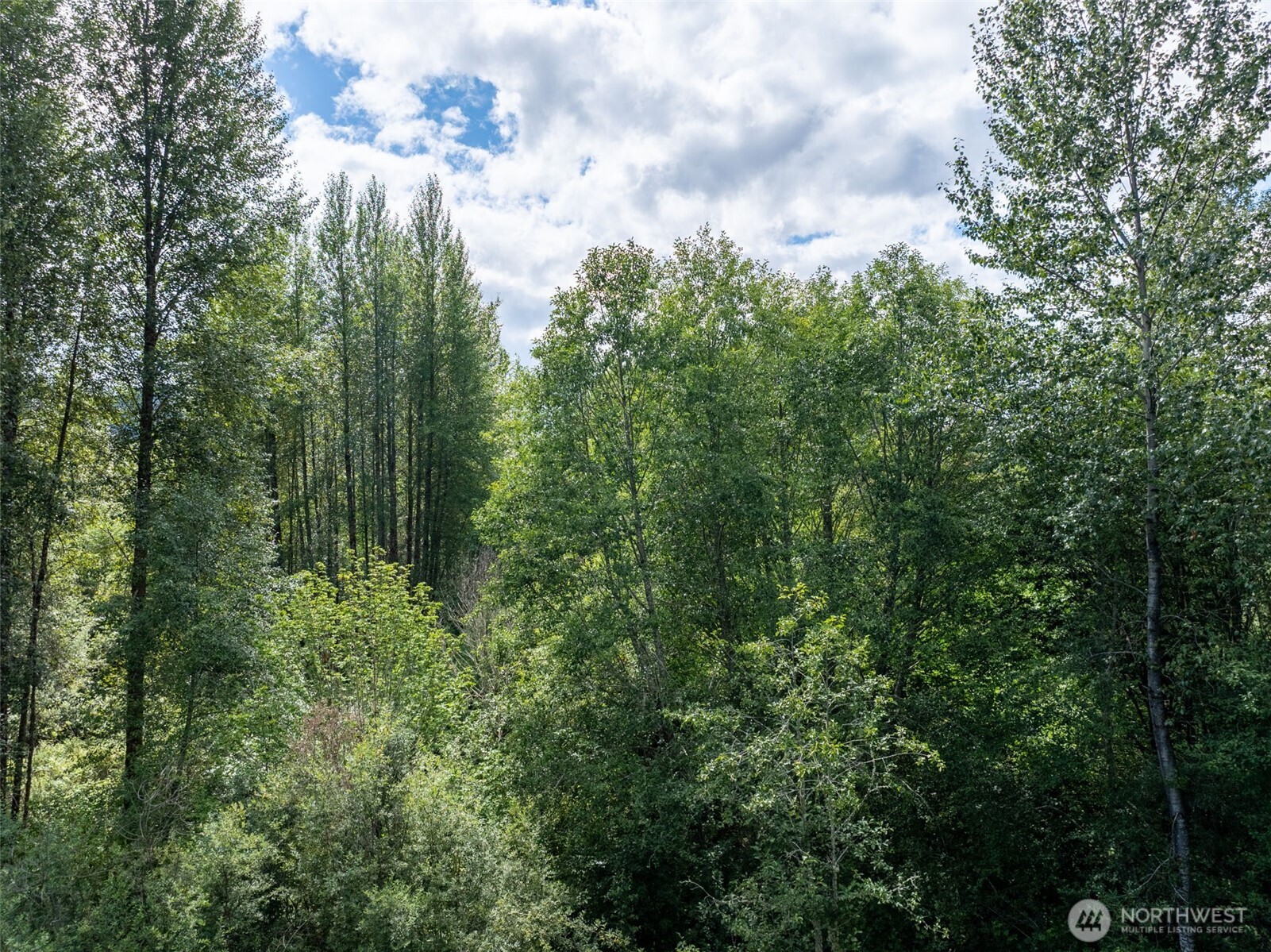 28909 State Route 706 Property Photo 4