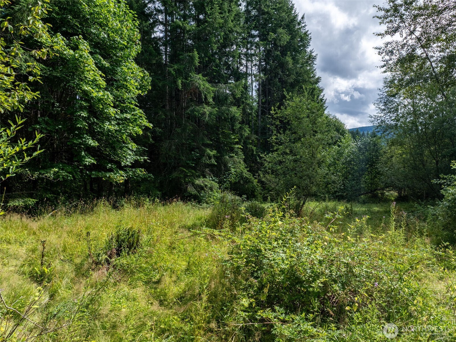 28909 State Route 706 Property Photo 12