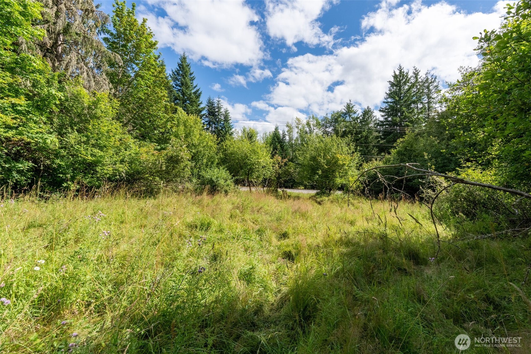 28909 State Route 706 Property Photo 13