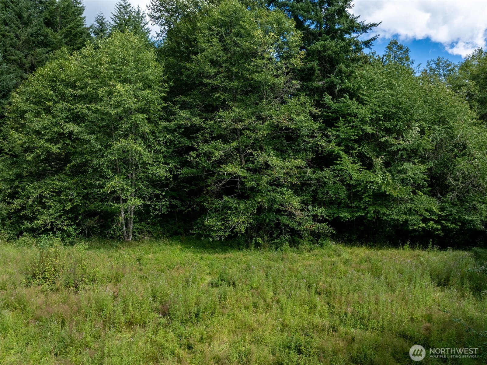 28909 State Route 706 Property Photo 21