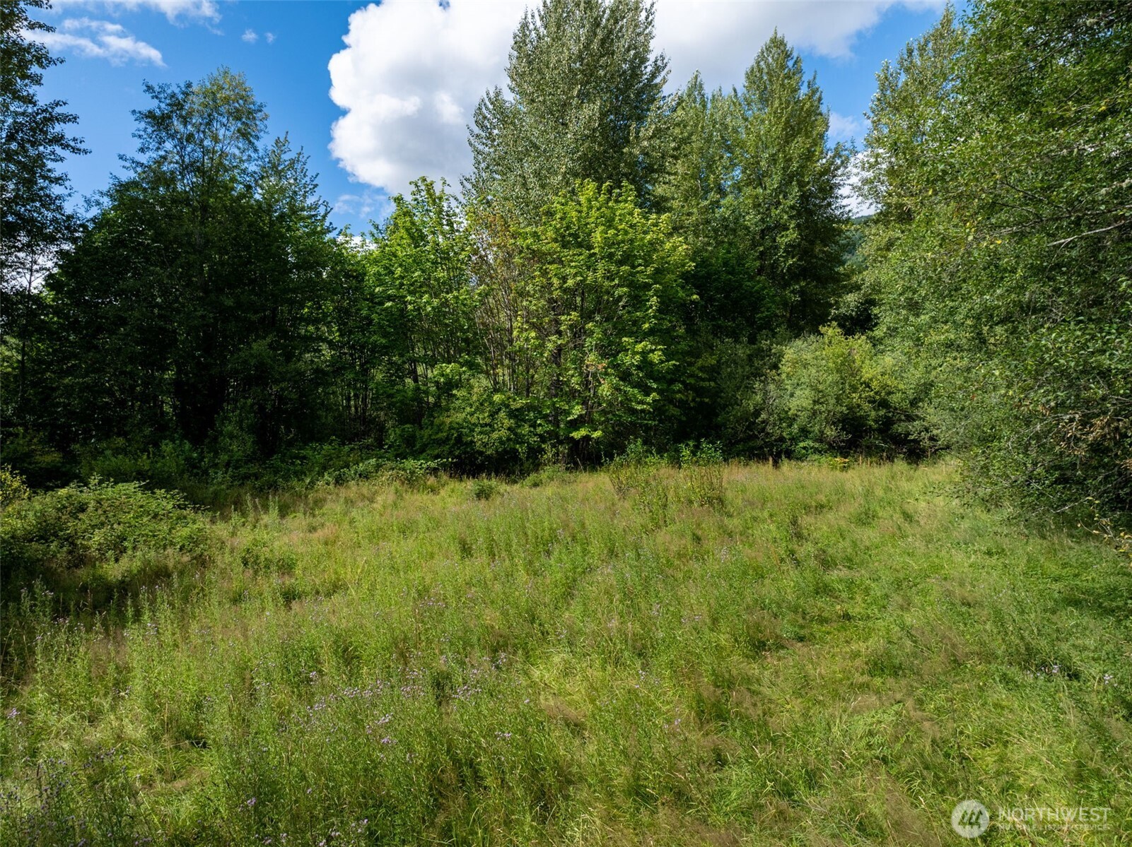 28909 State Route 706 Property Photo 23