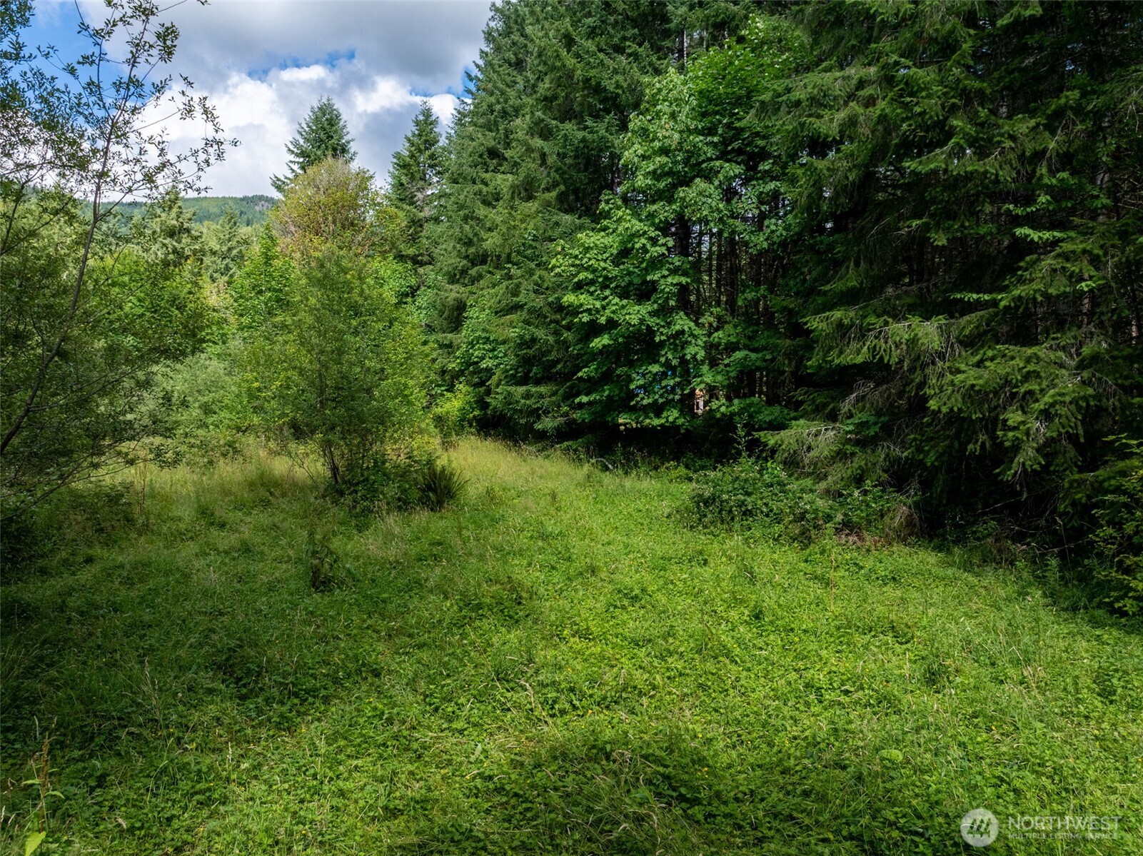 28909 State Route 706 Property Photo 24
