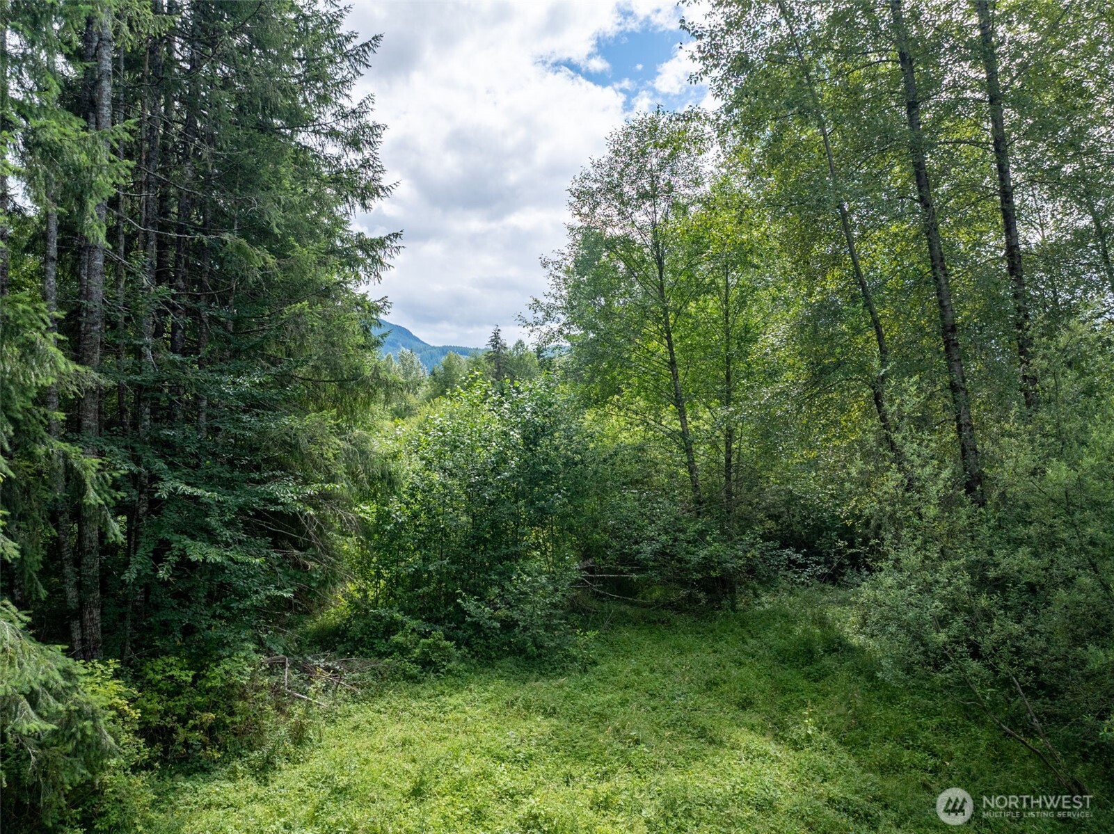 28909 State Route 706 Property Photo 31