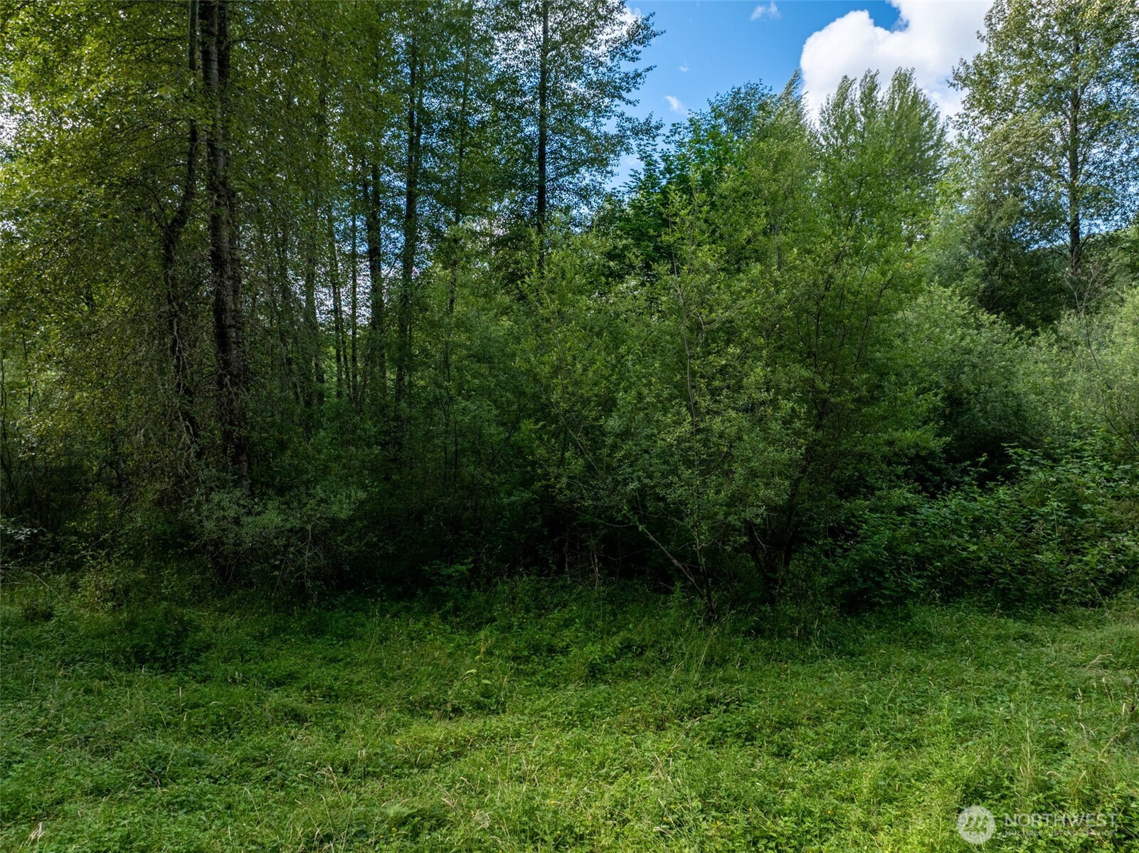 28909 State Route 706 Property Photo 32