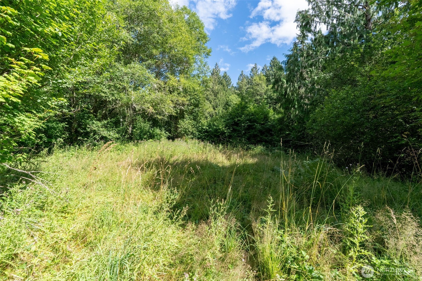 28909 State Route 706 Property Photo 34