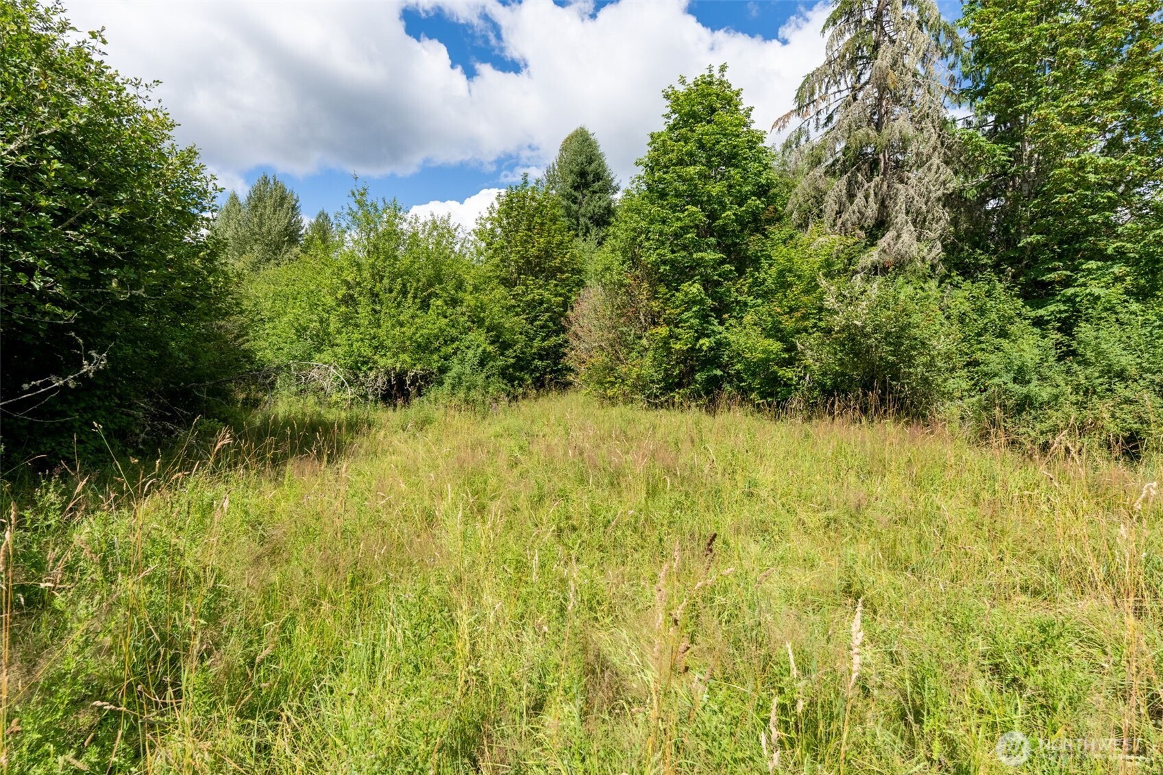 28909 State Route 706 Property Photo 35