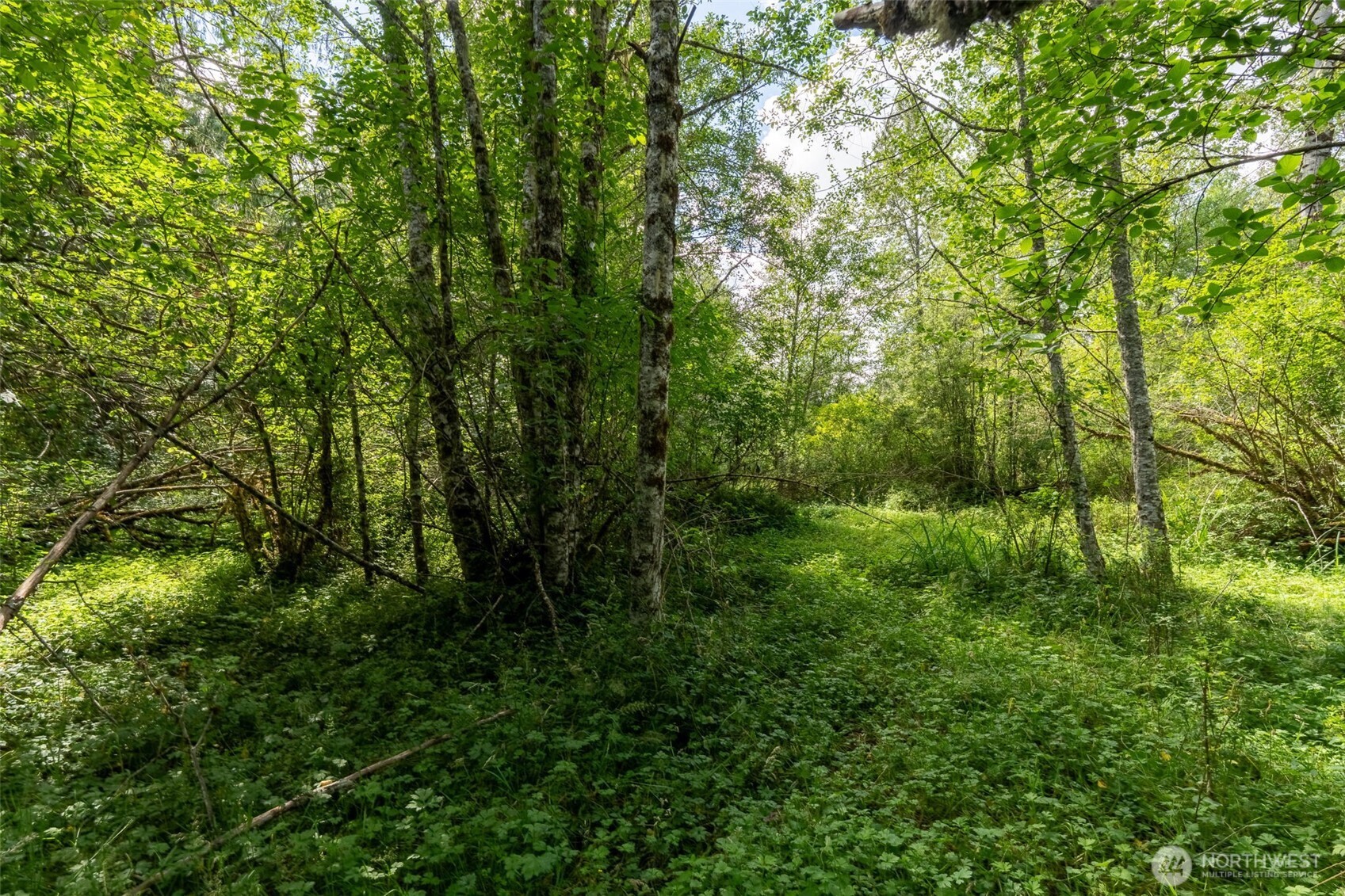 28901 State Route 706 Property Photo 3
